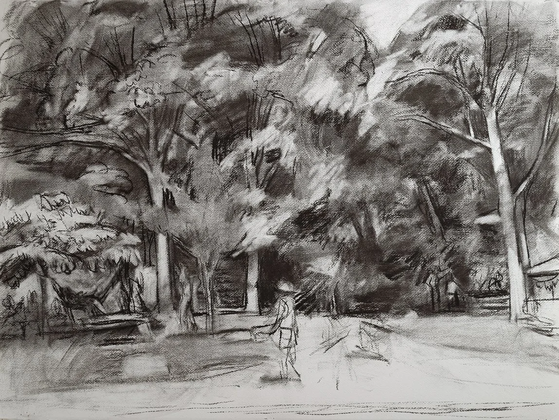  Summer Park Study, Landscape, 22" x 30", Charcoal