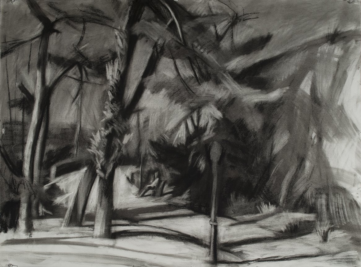  Pine Grove, Fort Tryon, 22" x 30", Charcoal