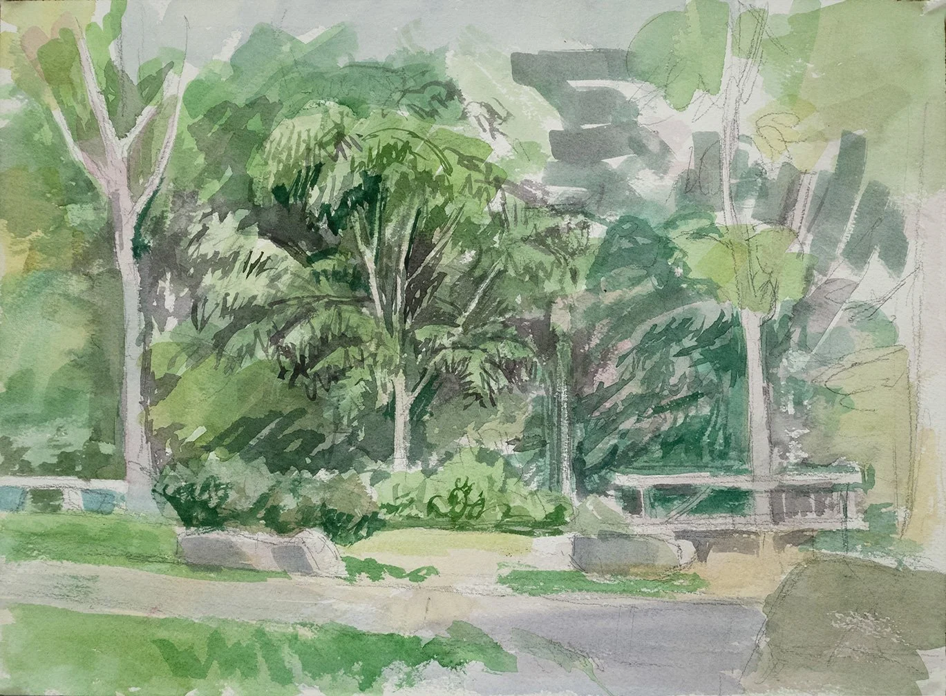 Tree Studies, 9" x 12"