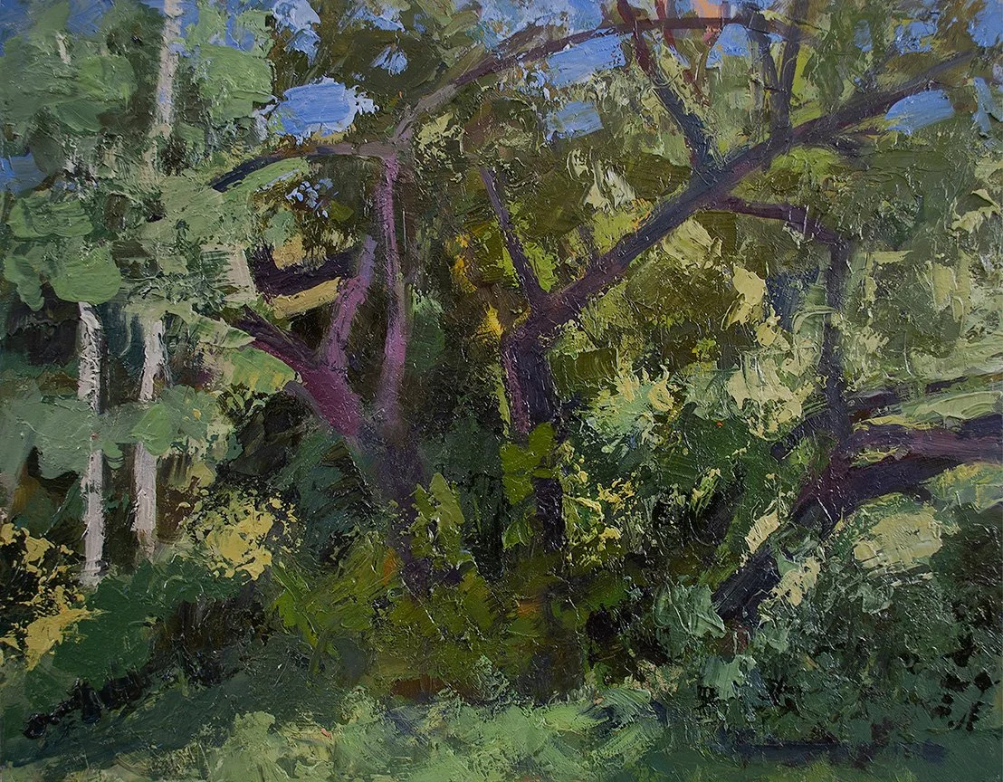 Split-Tree, 11" x 14", Oil on Panel