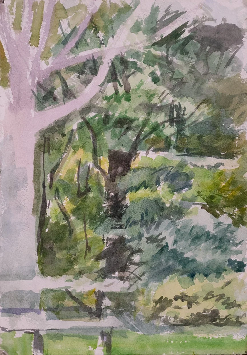 Big Tree and Background Foilage, 9" x 12"