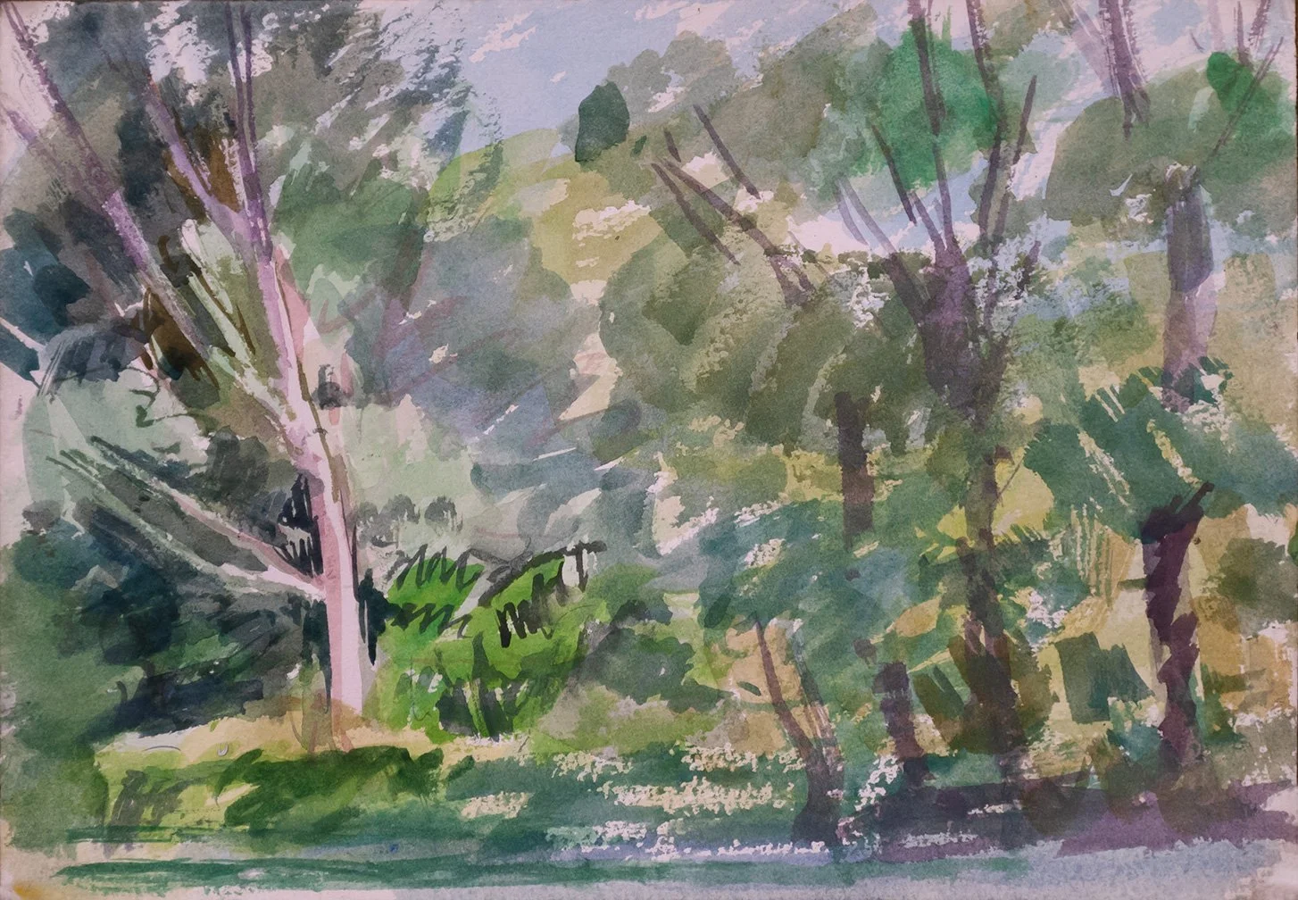 Trees, background Study, 9" x 12"