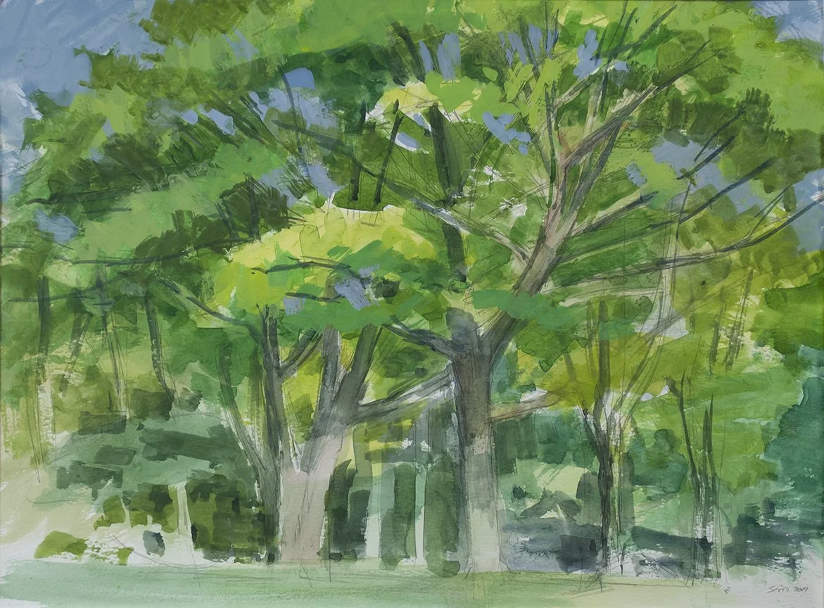 Spring Trees, Hudson River Park, 12" x 16"