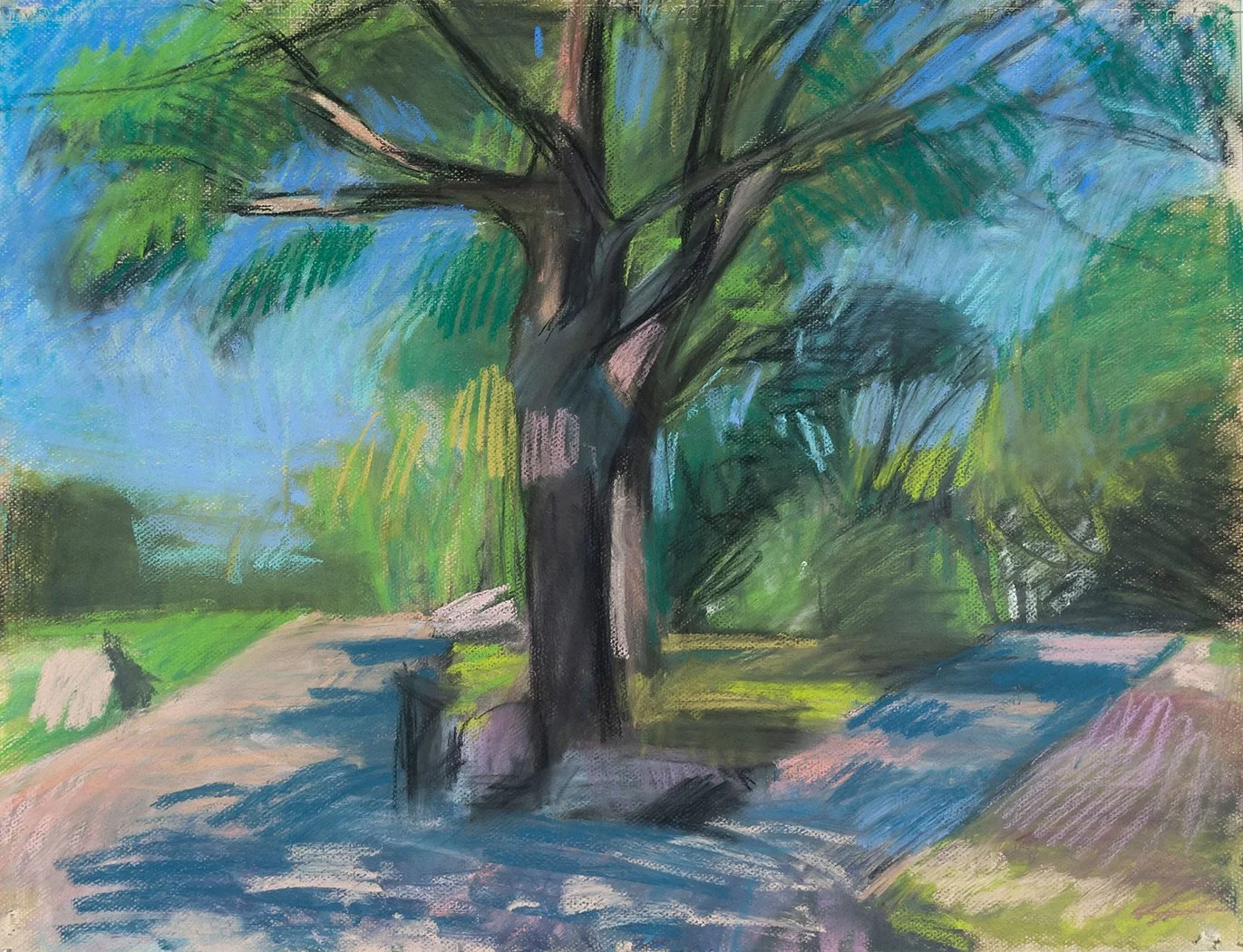  The Path Splits, 19.5" x 25.5", Pastel