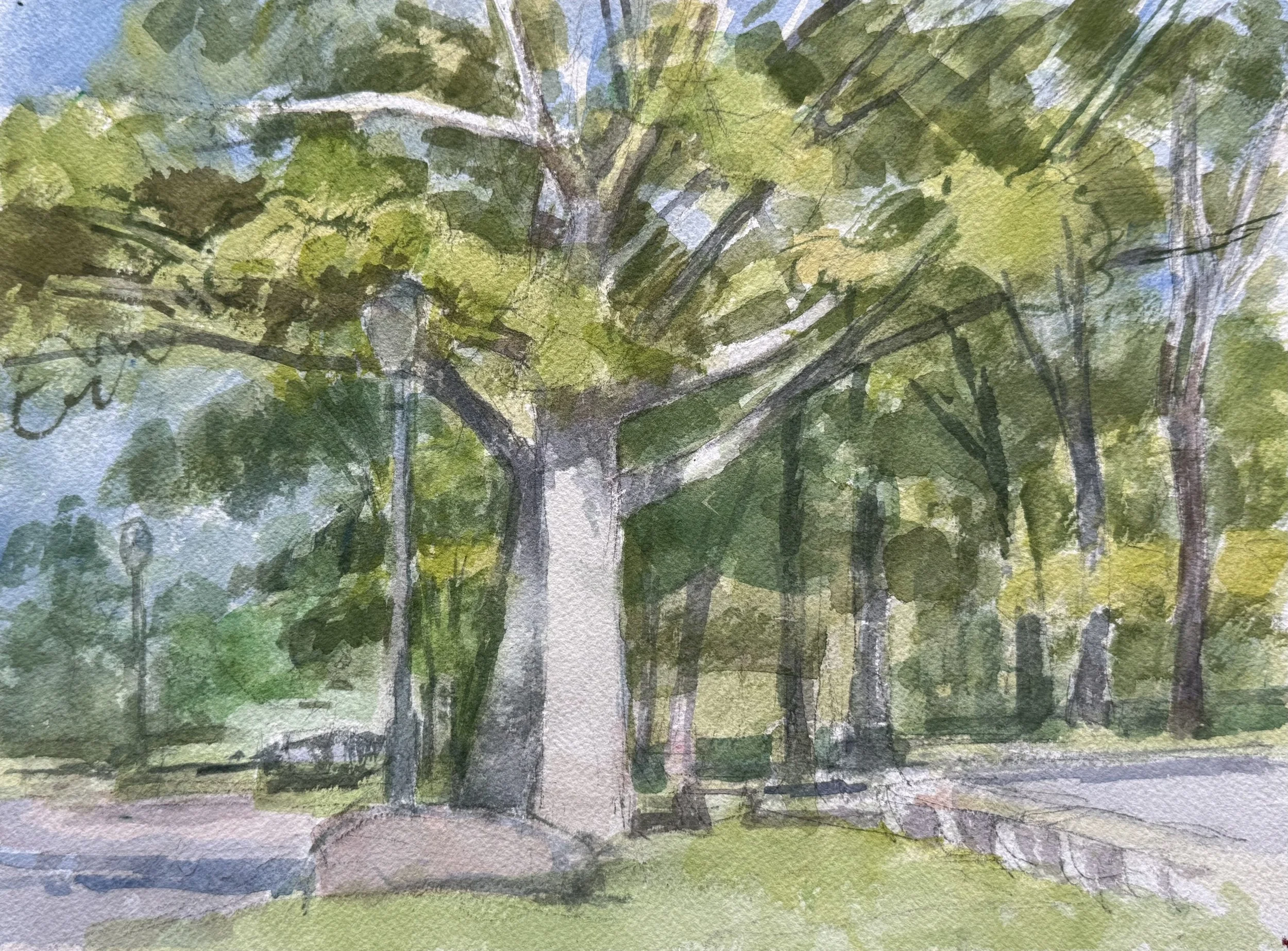 Trees and Court, 9" X 12"