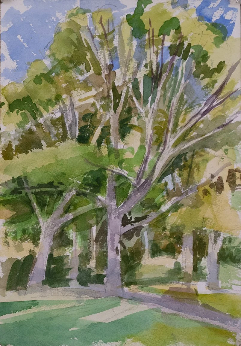 Trees in The Park, 10" x 7"