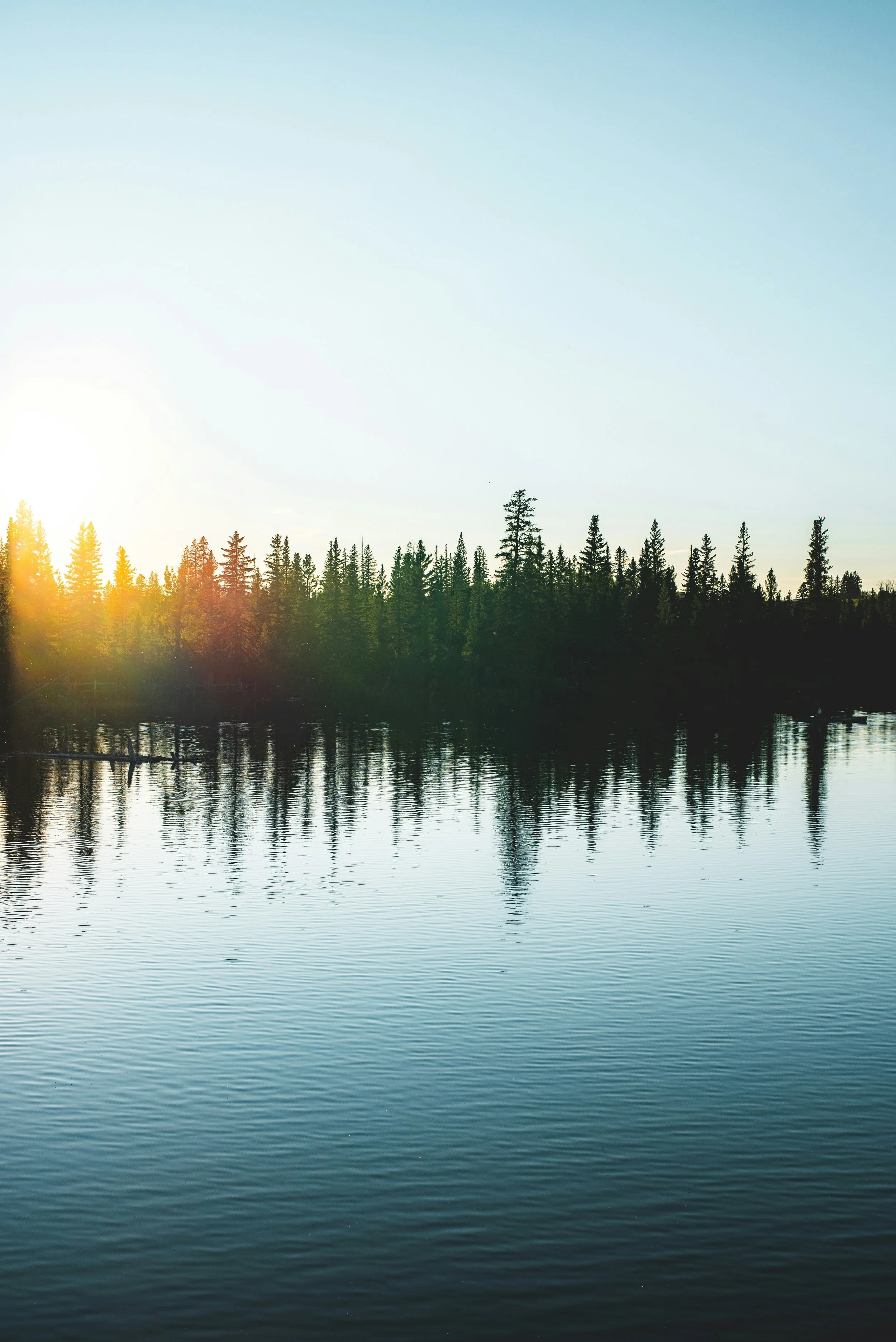 A tranquil scene of a sunset over a lake with a silhouette of a pine forest reflected in the water.