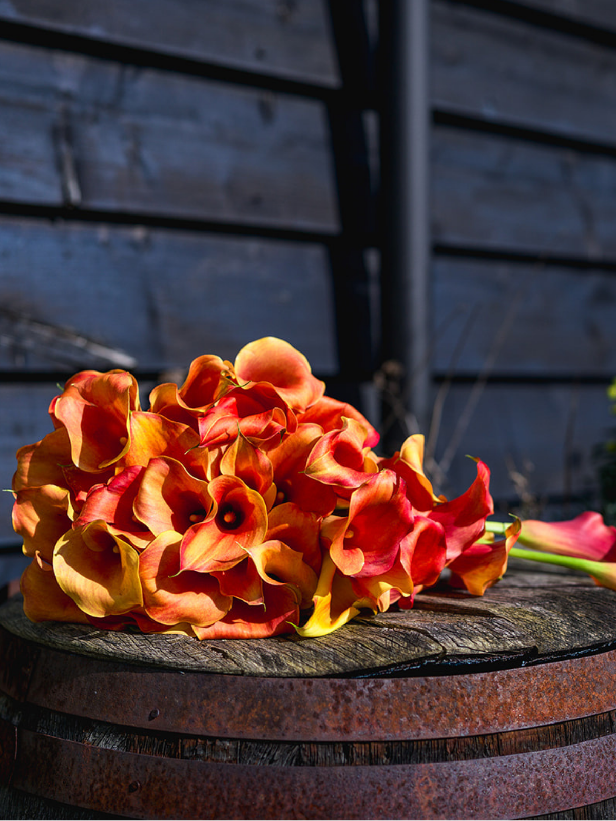 A bouquet of orange and yellow calla lilies placed on a weathered wooden surface outdoors with a dark wooden fence in the background.