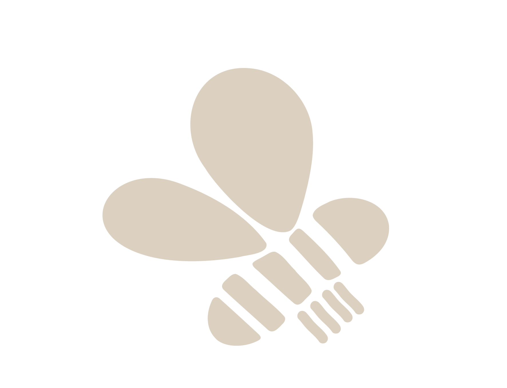 Minimalist illustration of a butterfly with abstract, cream-colored wings and body on a black background.