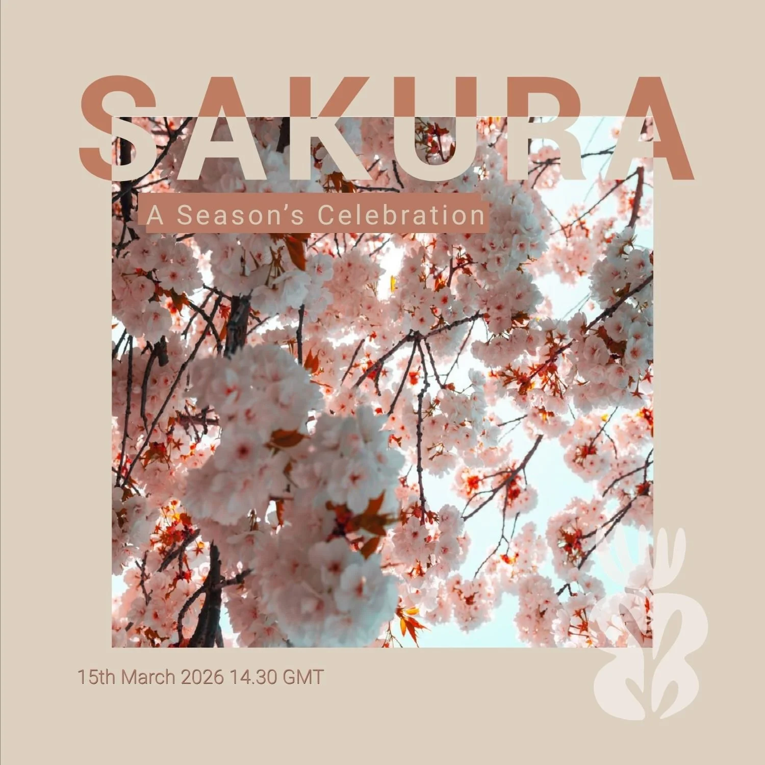 A celebration poster for Sakura, featuring a background of pink cherry blossoms in bloom with sunlight filtering through the branches. The text reads 'SAKURA', 'A Season’s Celebration', and the date '15th March 2026 14.30 GMT'.