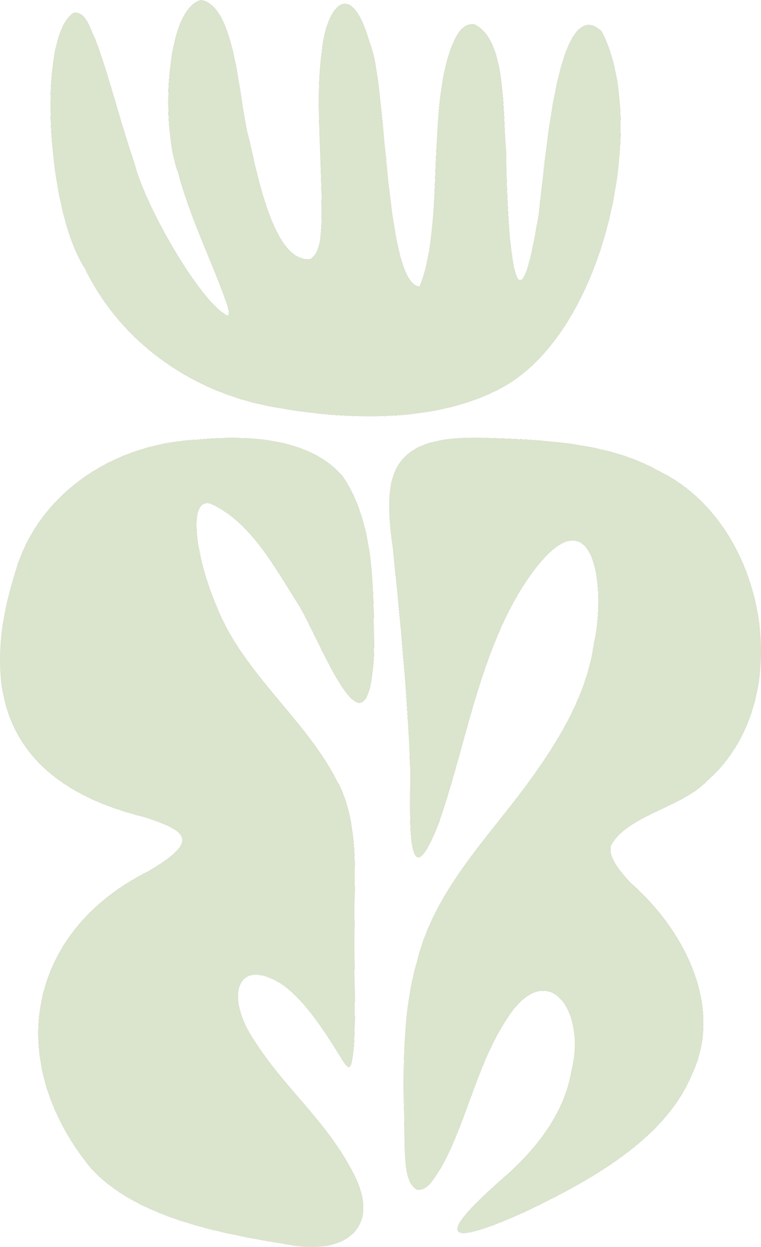 Abstract illustration of a plant with leaves in a simple, stylized design.