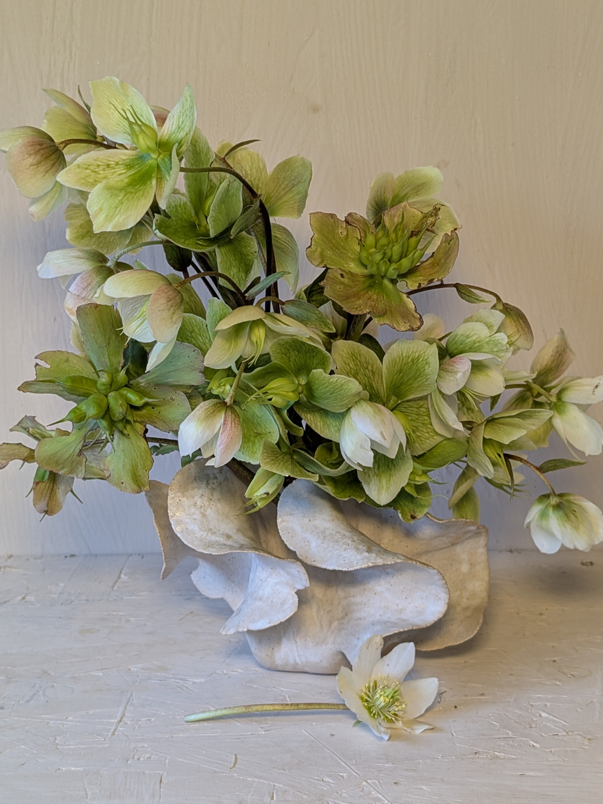 A decorative arrangement of green and cream-colored flowers with some brownish spots, placed in a cream-colored, textured ceramic vase, with a single cream-colored flower lying in front of the vase on a white surface.