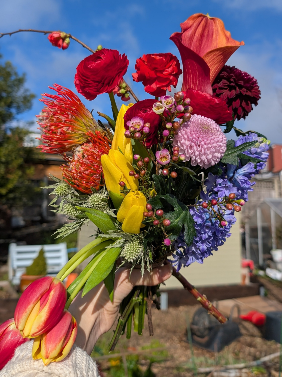 A colorful bouquet of various flowers held up outdoors with a blue sky and a backyard in the background.