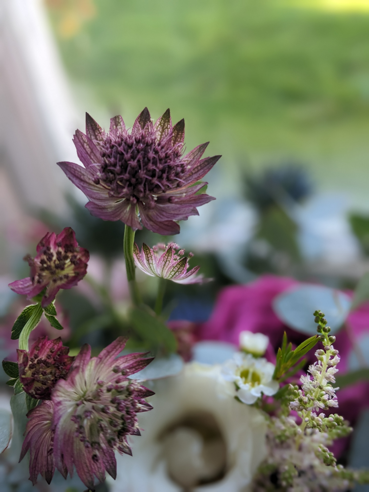 Close-up of a purple and pink flower with a blurred background of other flowers and greenery.