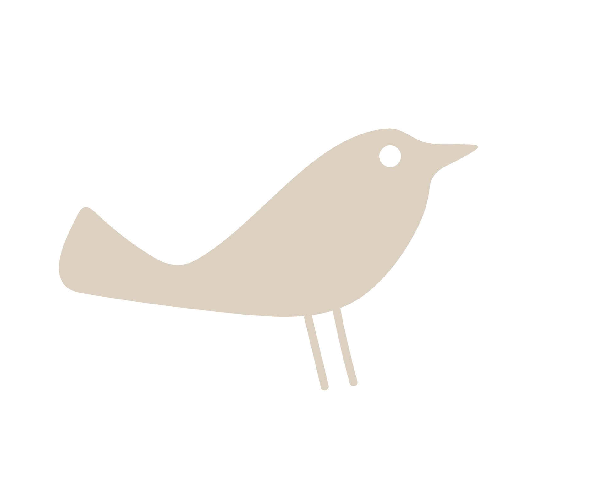 Minimalist illustration of a bird with a rounded body, long beak, small eye, thin legs, and a tail, colored in beige against a black background.
