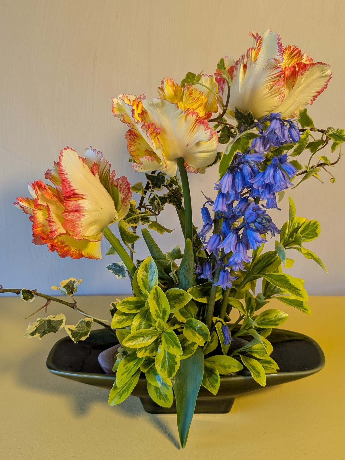 A floral arrangement in a black rectangular vase with yellow and red-tipped tulips, bluebell flowers, and green variegated leaves against a plain background.