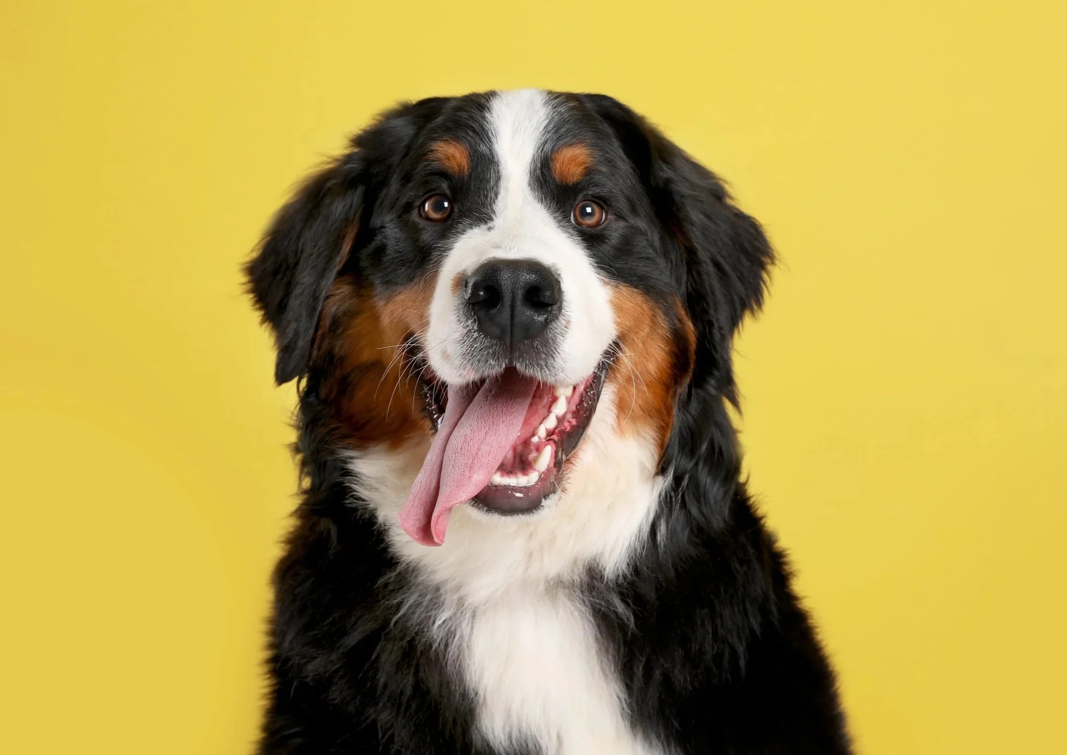 AdobeStock_270254841.jpg
