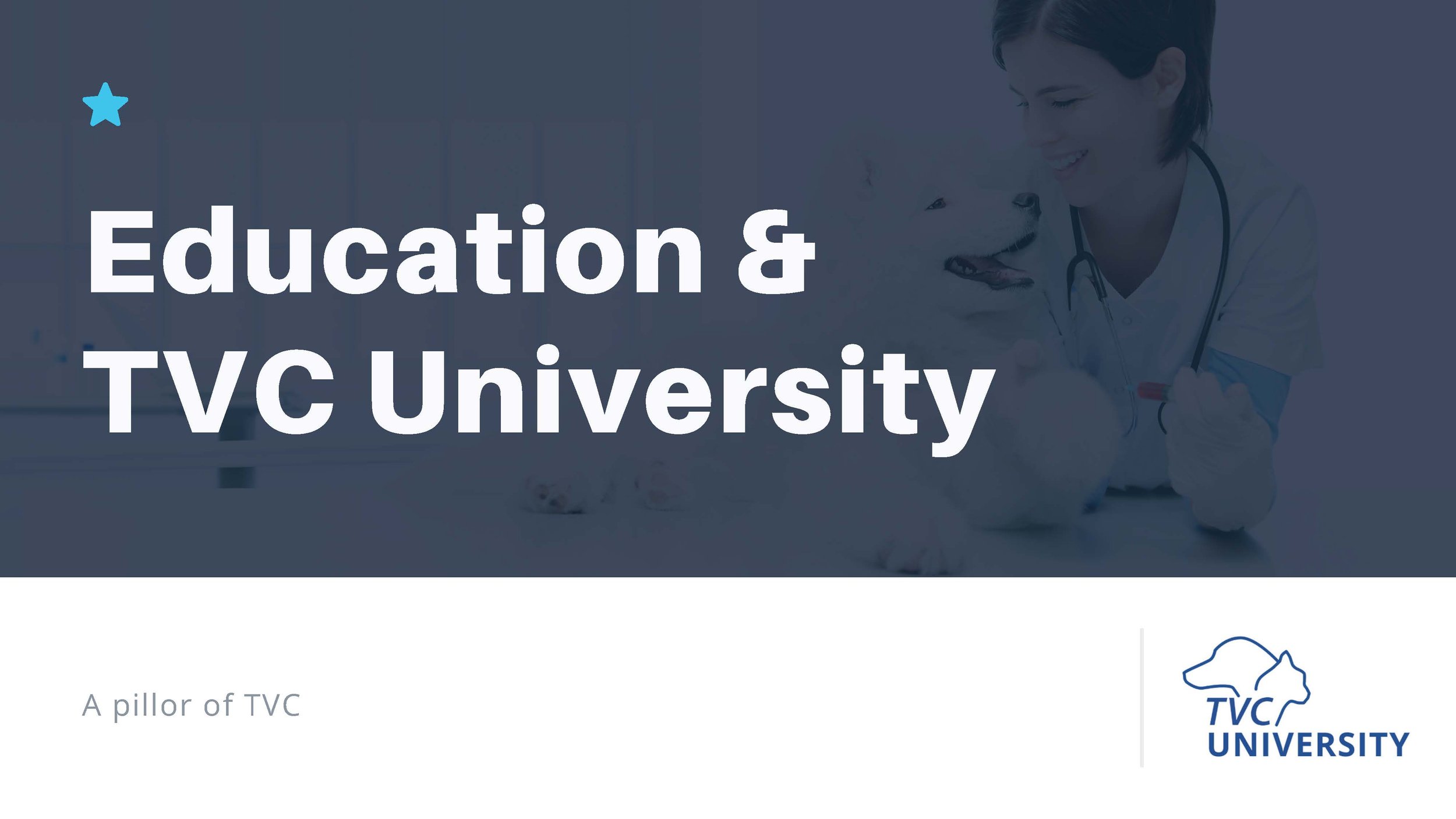 TVC University Brand Development
