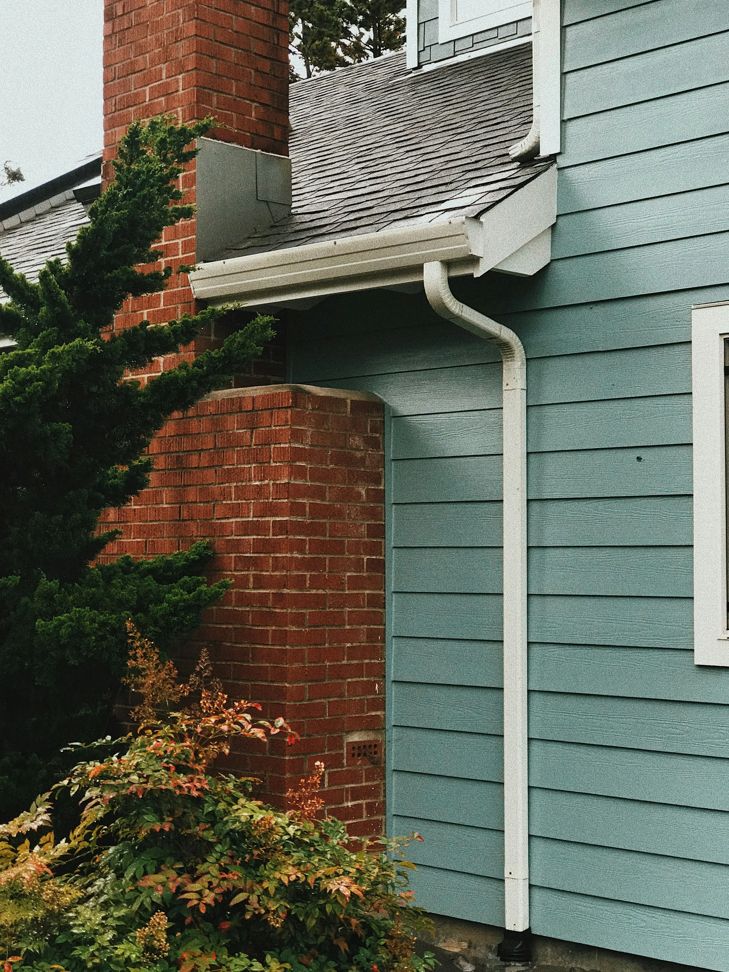 Close-up of a house corner showing a blue wooden siding wall, a red brick chimney, a black asphalt shingle roof, white gutters and downspouts, green foliage and plants, and part of a window.