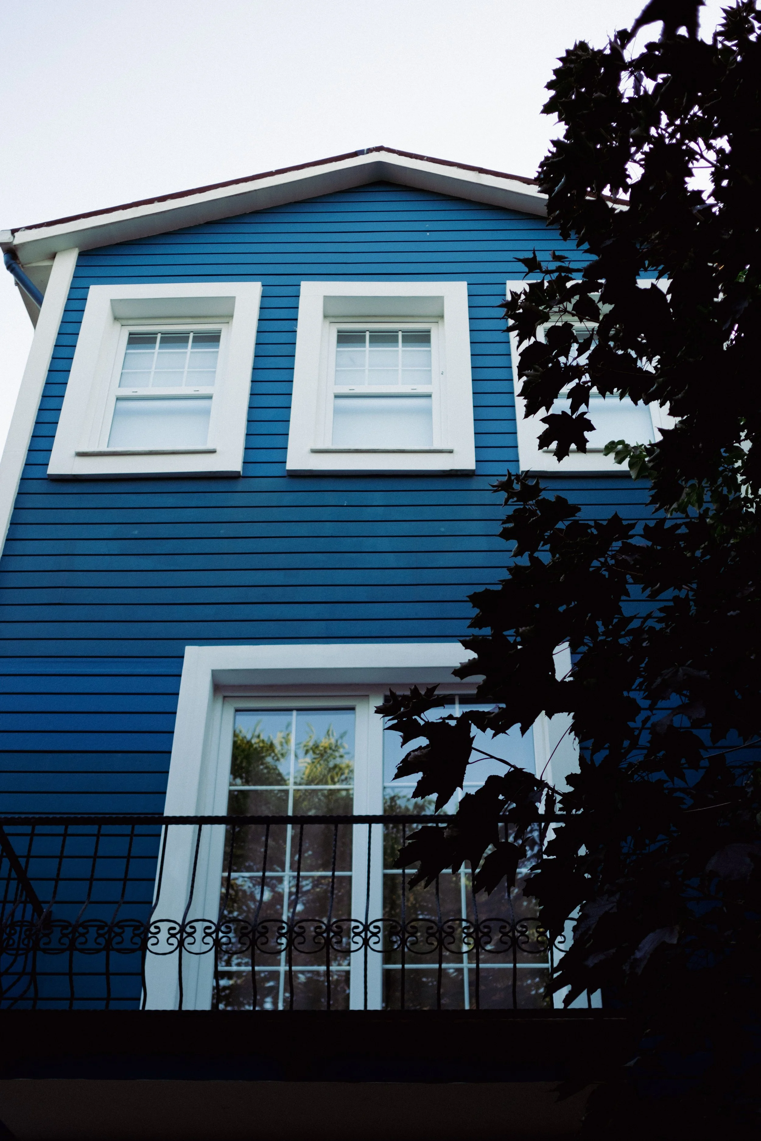 A blue house with white-framed windows and black wrought iron balcony railing, partially obscured by dark tree branches in the foreground.