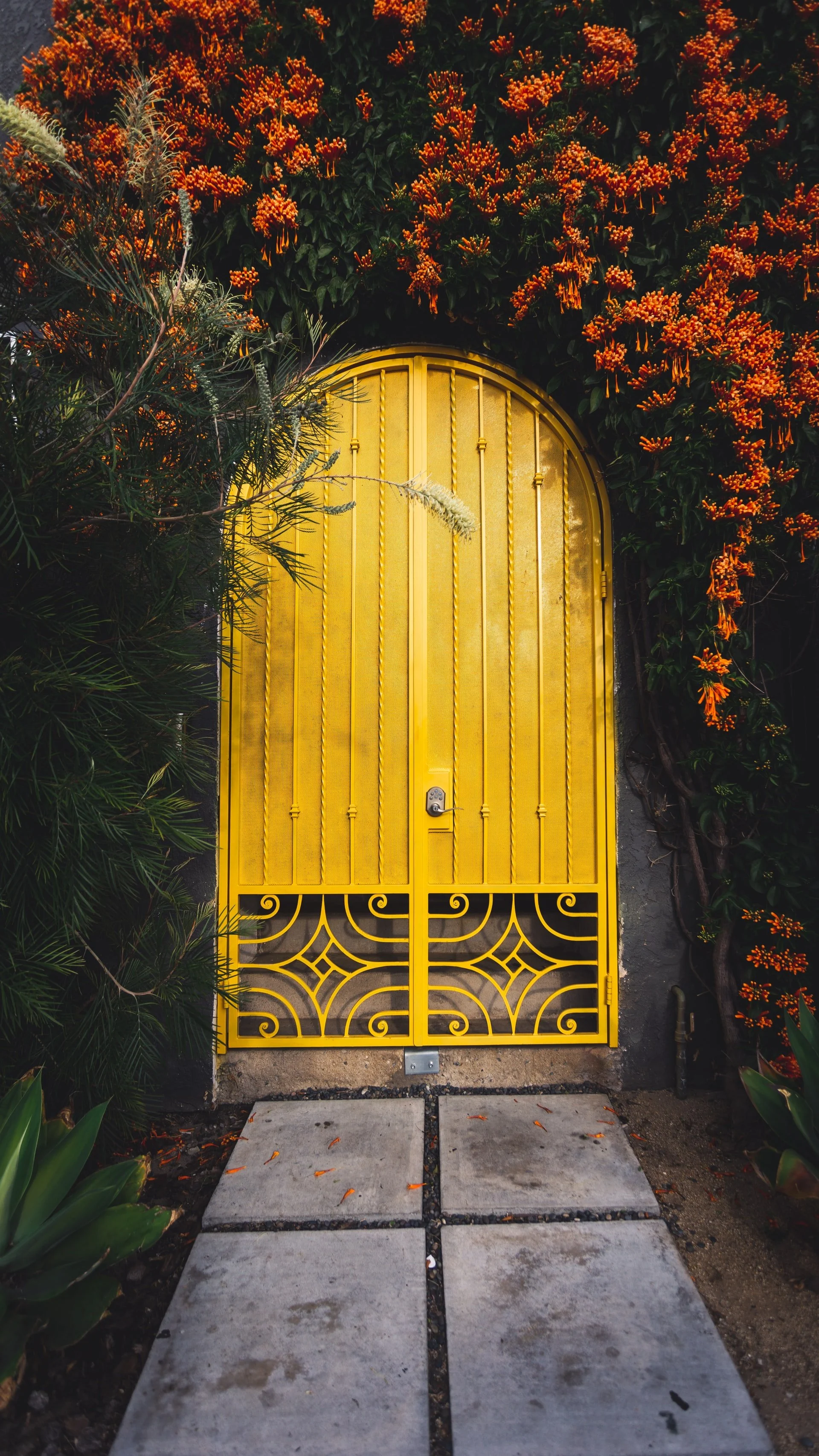 Yellow metal gate with intricate design, surrounded by green and orange flowering plants, with concrete stepping stones in front.