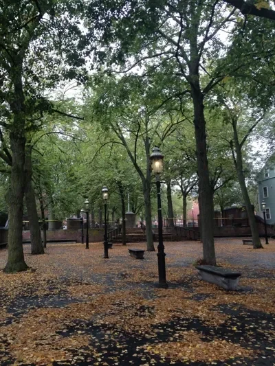 Park with trees, benches, lamp posts, and fallen leaves on the ground during daytime.