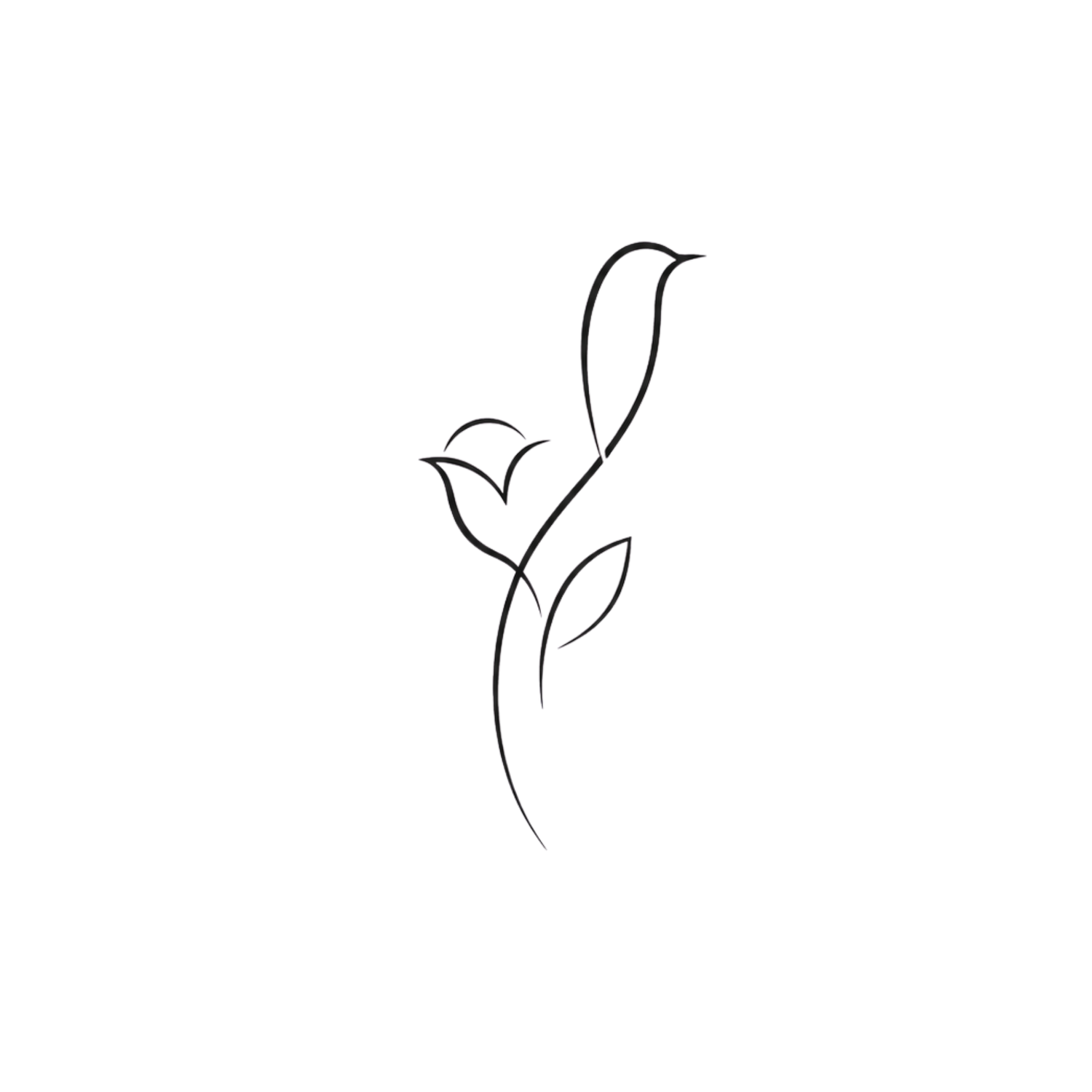 Robu Design