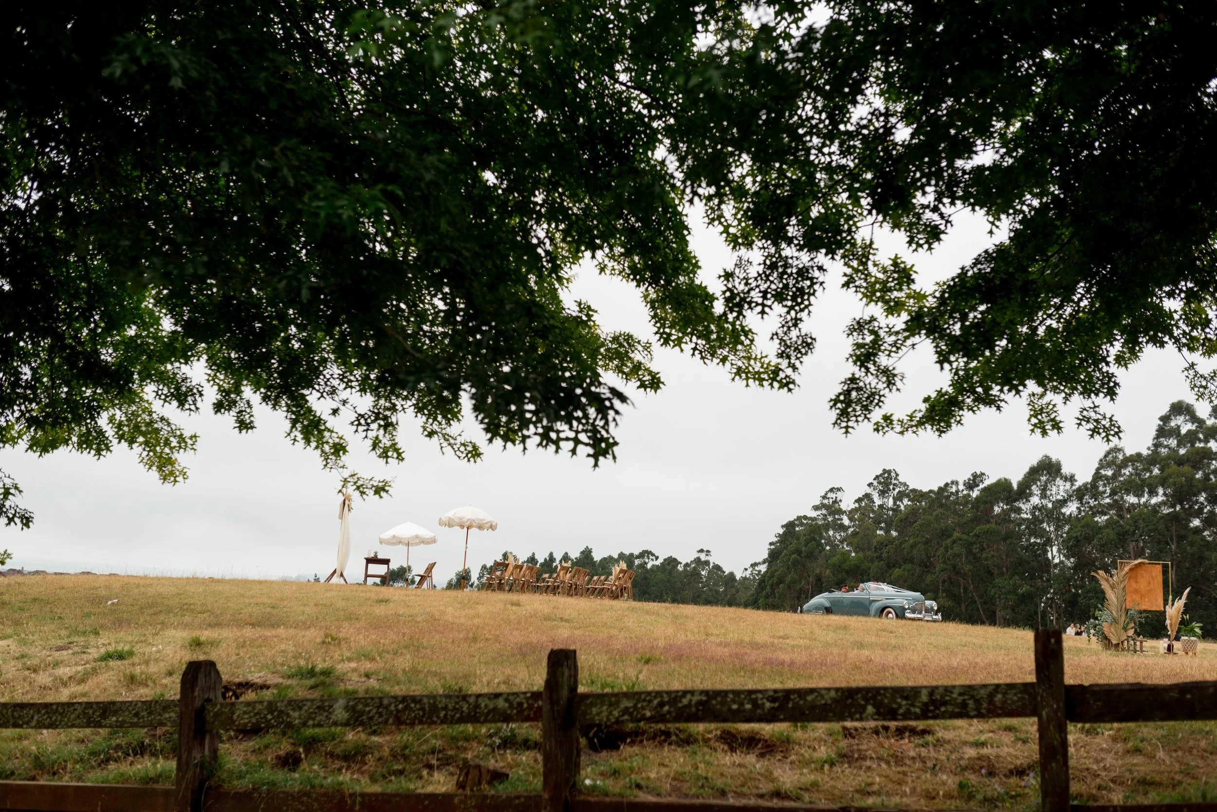 DSC_5950-2.jpg