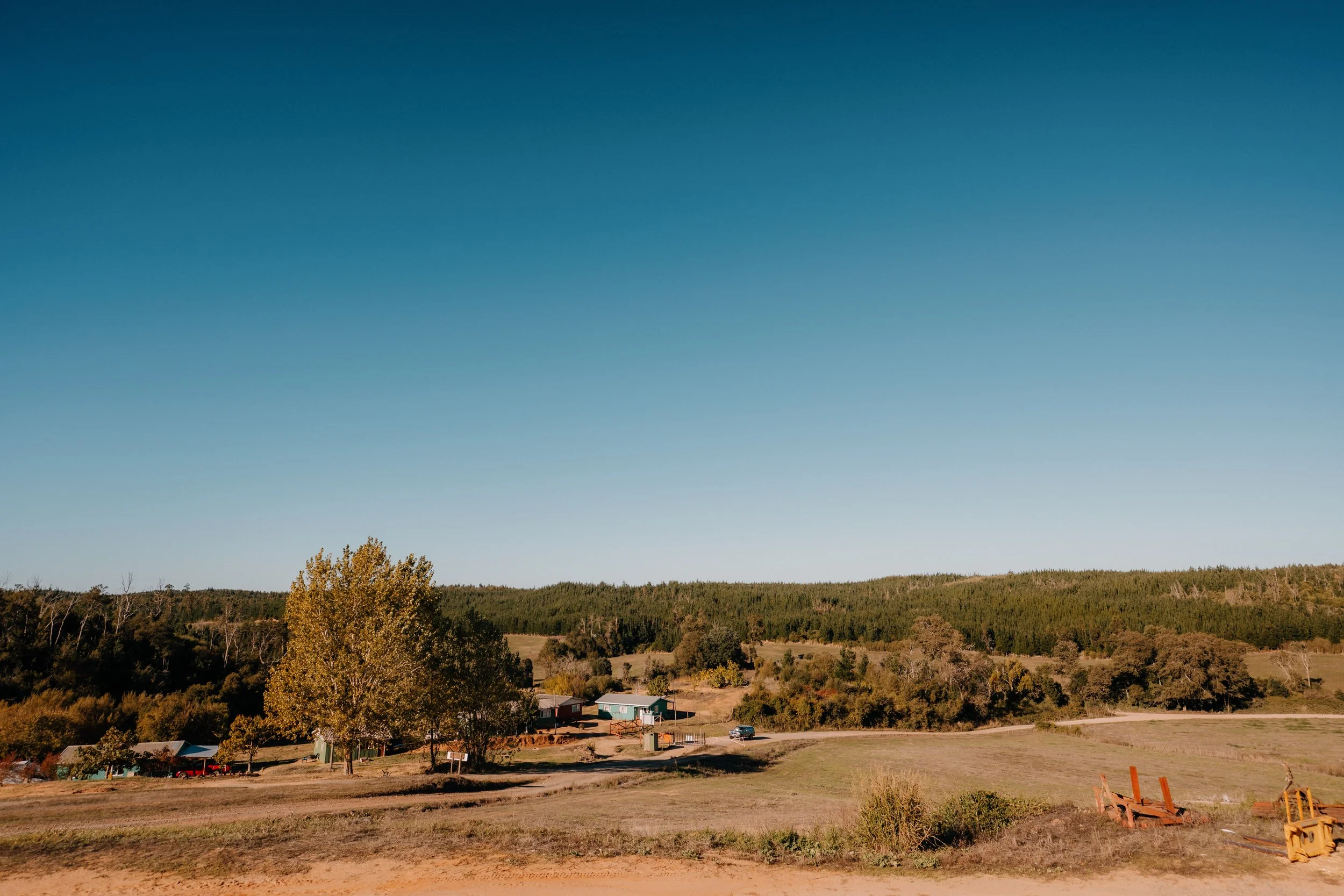 DSC_4990.JPG