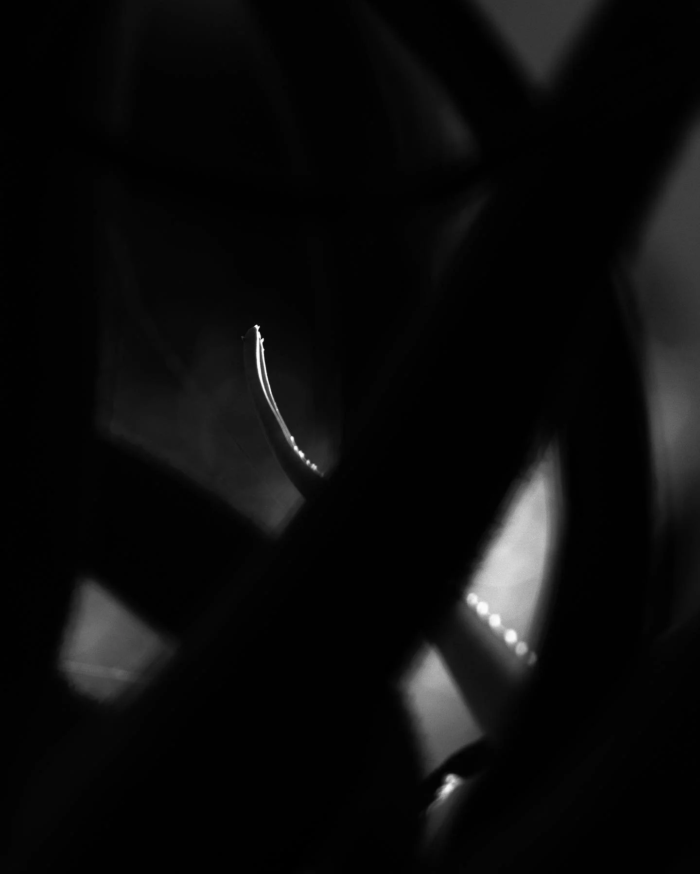 282114297_175099291535935_4830400006195701590_n_17888524259640534.jpg