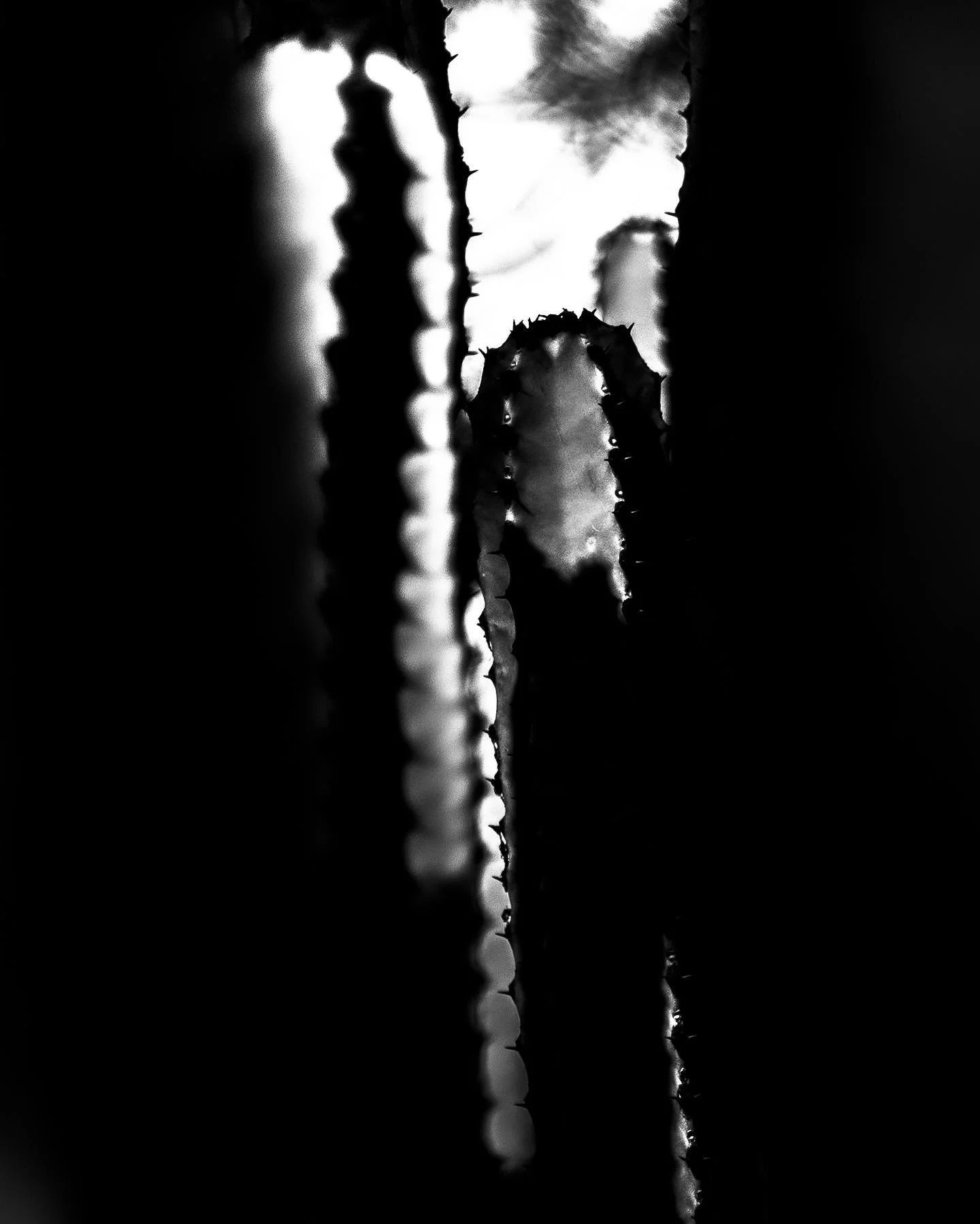 332241285_1573450666499306_8313482485222609538_n_18265912978188208.jpg