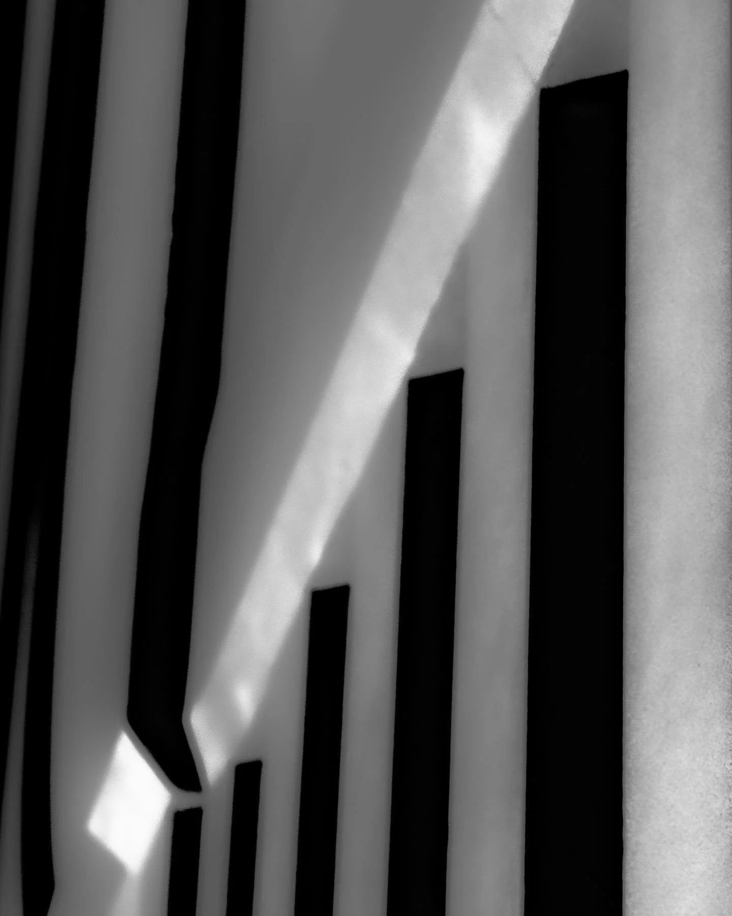 330678640_164837476360077_2360324339098428837_n_18055754182382861.jpg