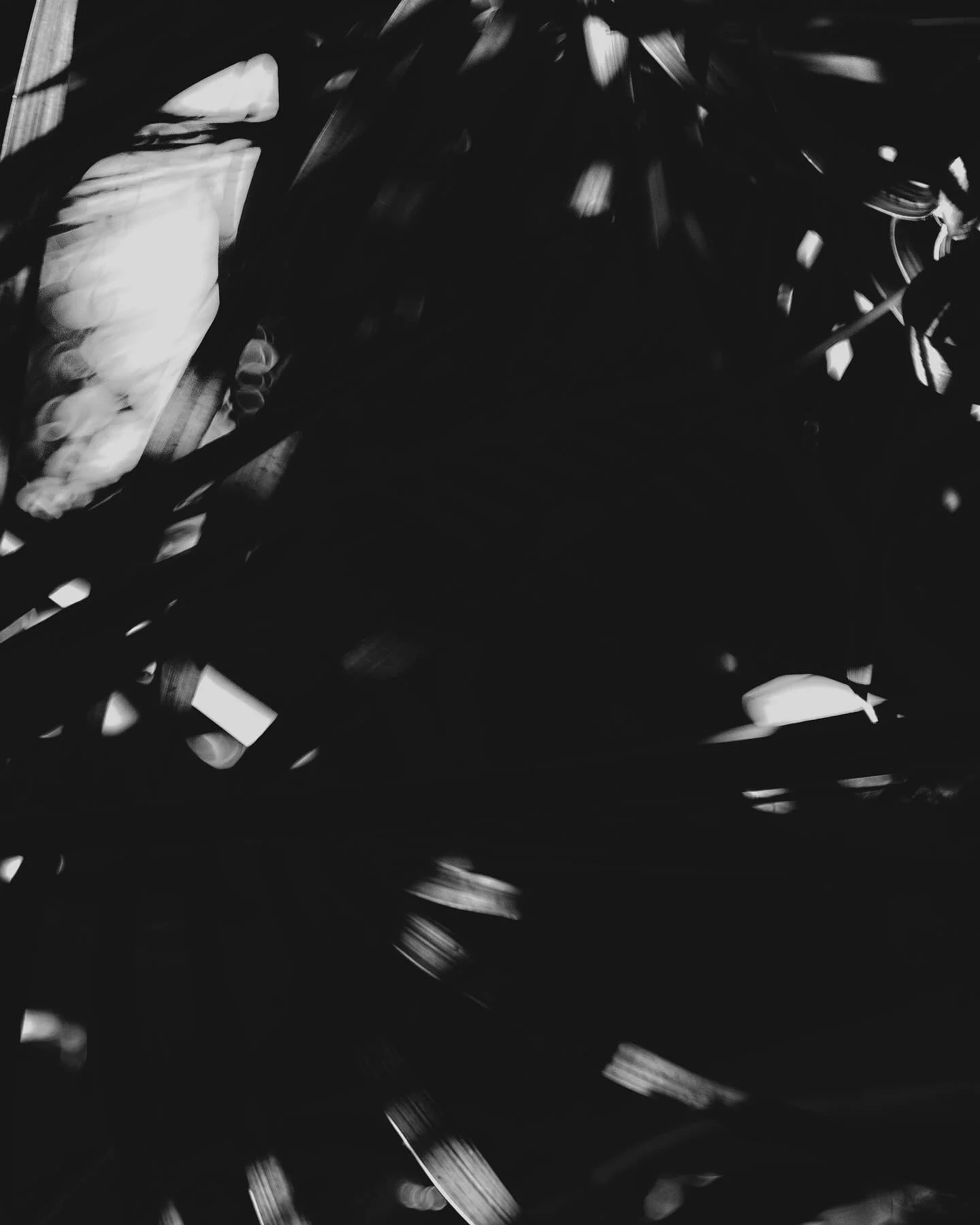 412471659_742264574091517_4325434535712915845_n_18017692000860239.jpg