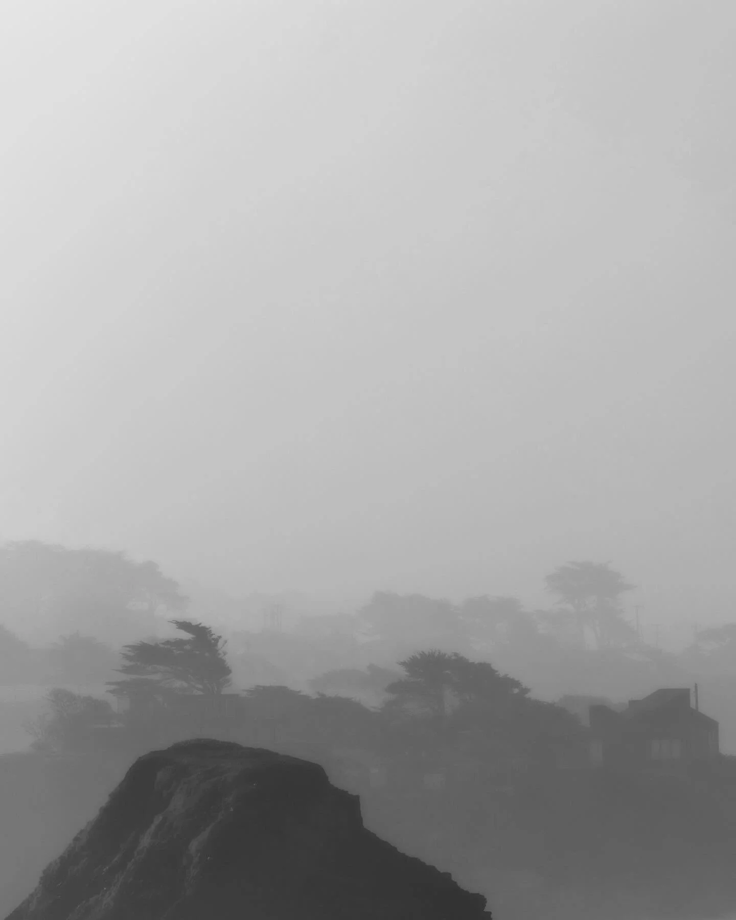 439913438_1112260289995177_2825794756118716821_n_18023822066281785.jpg