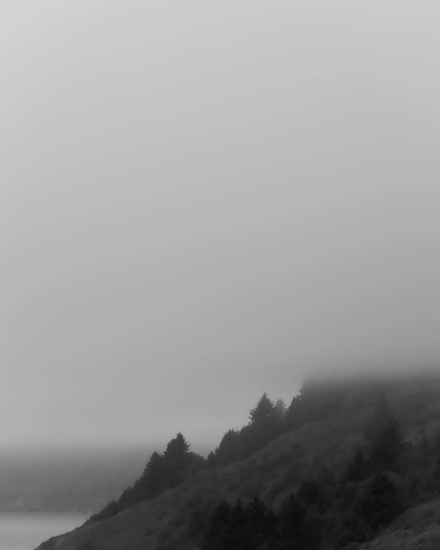365388200_264328686391915_88653223529871146_n_18376933900059096.jpg