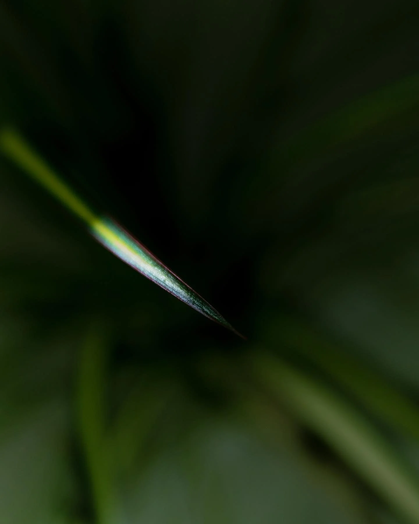287188187_398258885571165_812131889336746252_n_18215735140180378.jpg