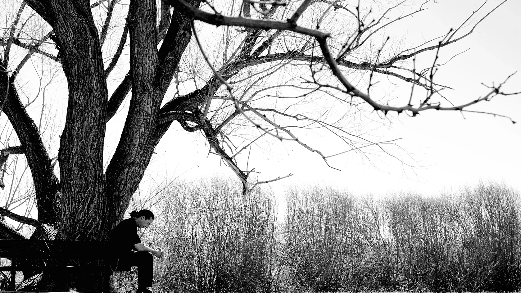 Defying Gravity — Rex F., reflective portrait under the tree he fell out of that put him in a coma for three years