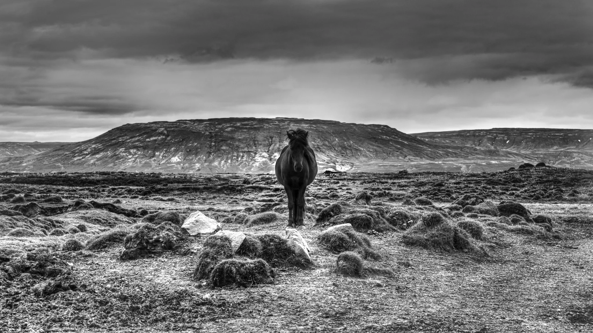 Hrafn — Iceland — black horse centered in rugged rocky landscape, mountain and dark cloudy sky