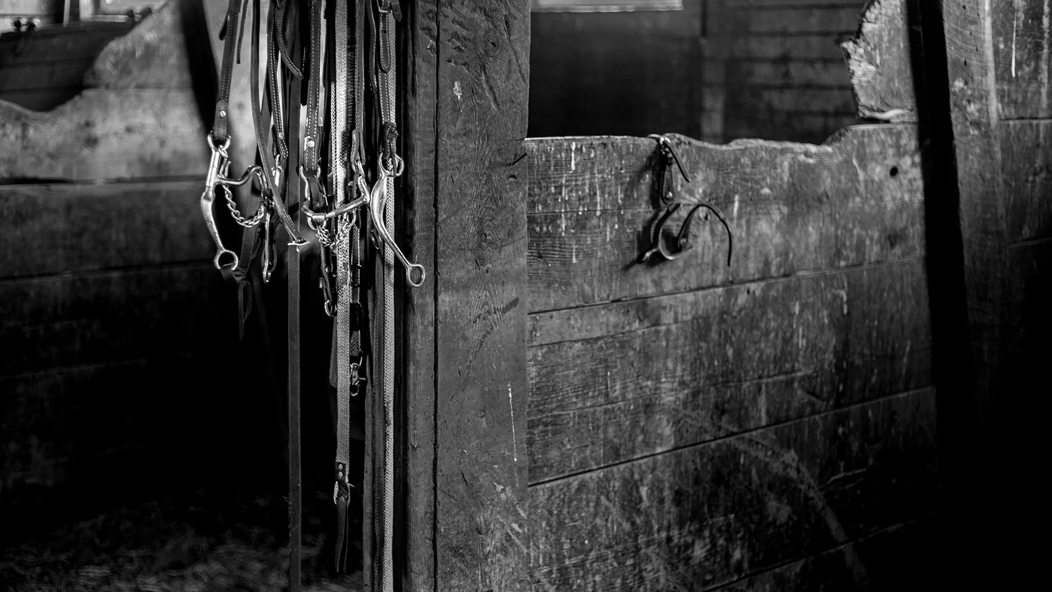 Western culture — horse stall and bridle detail, Wyoming
