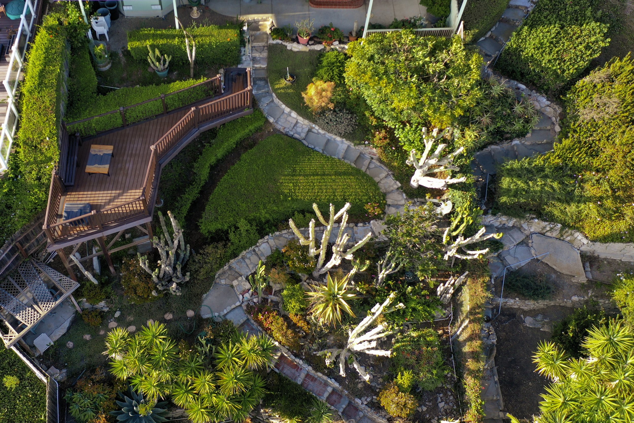 Aerial view of a landscaped backyard with a wooden deck, stone paths, green grass, and various trees and plants, including cacti and succulents.