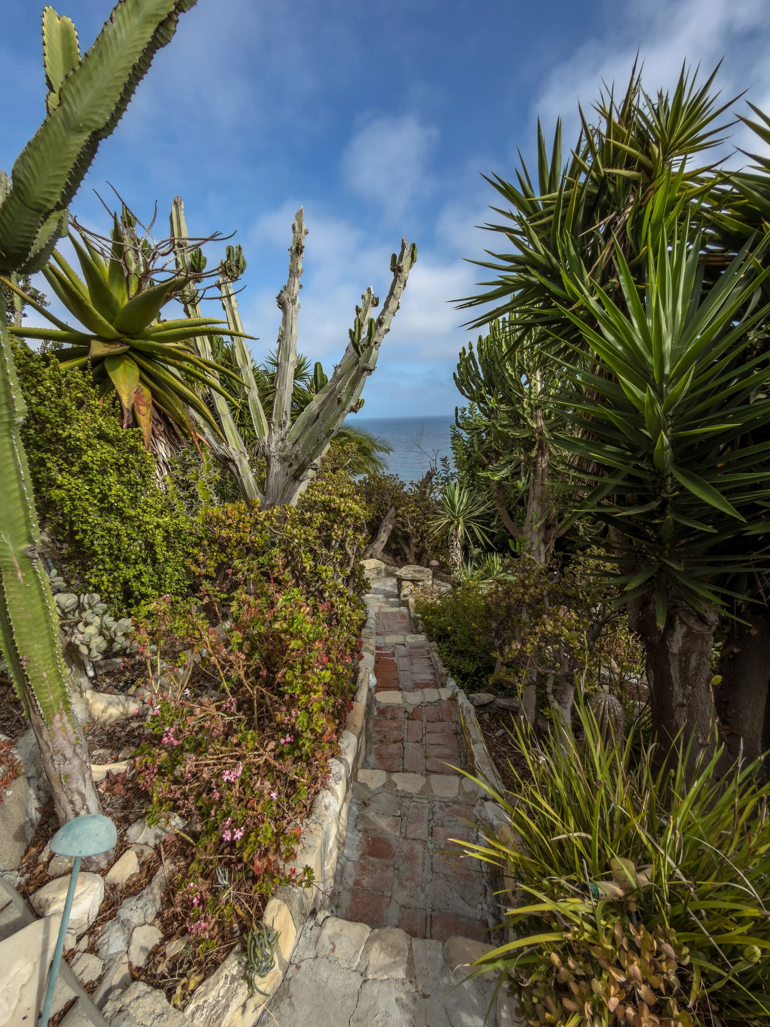 A winding brick and stone pathway through a lush garden with tall cacti and succulents, leading to a view of the ocean under a blue sky with scattered clouds.