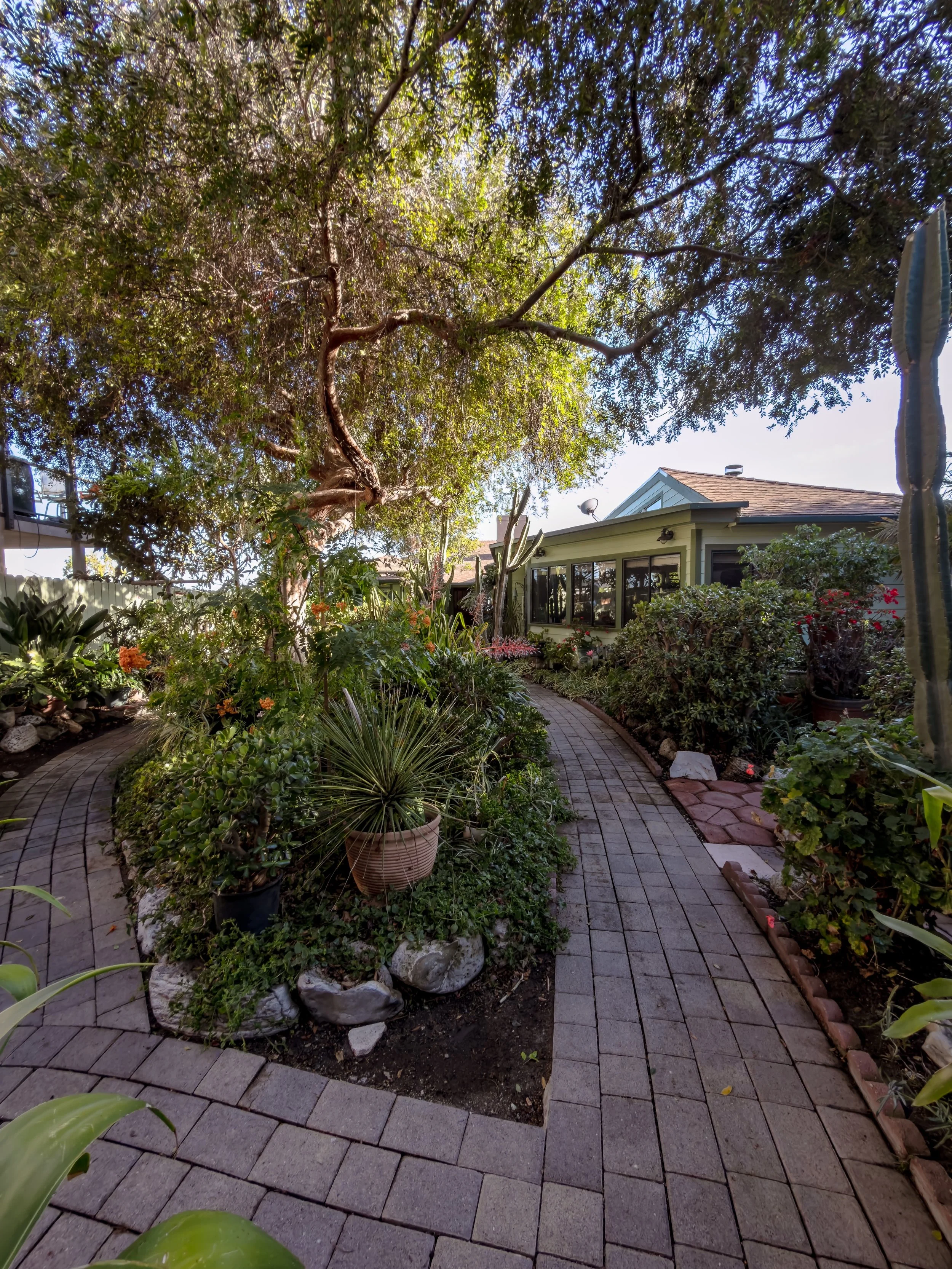A backyard garden with a curved brick walkway, potted plants, lush green bushes, and trees with sunlight filtering through their leaves, and a house with a windowed porch in the background.
