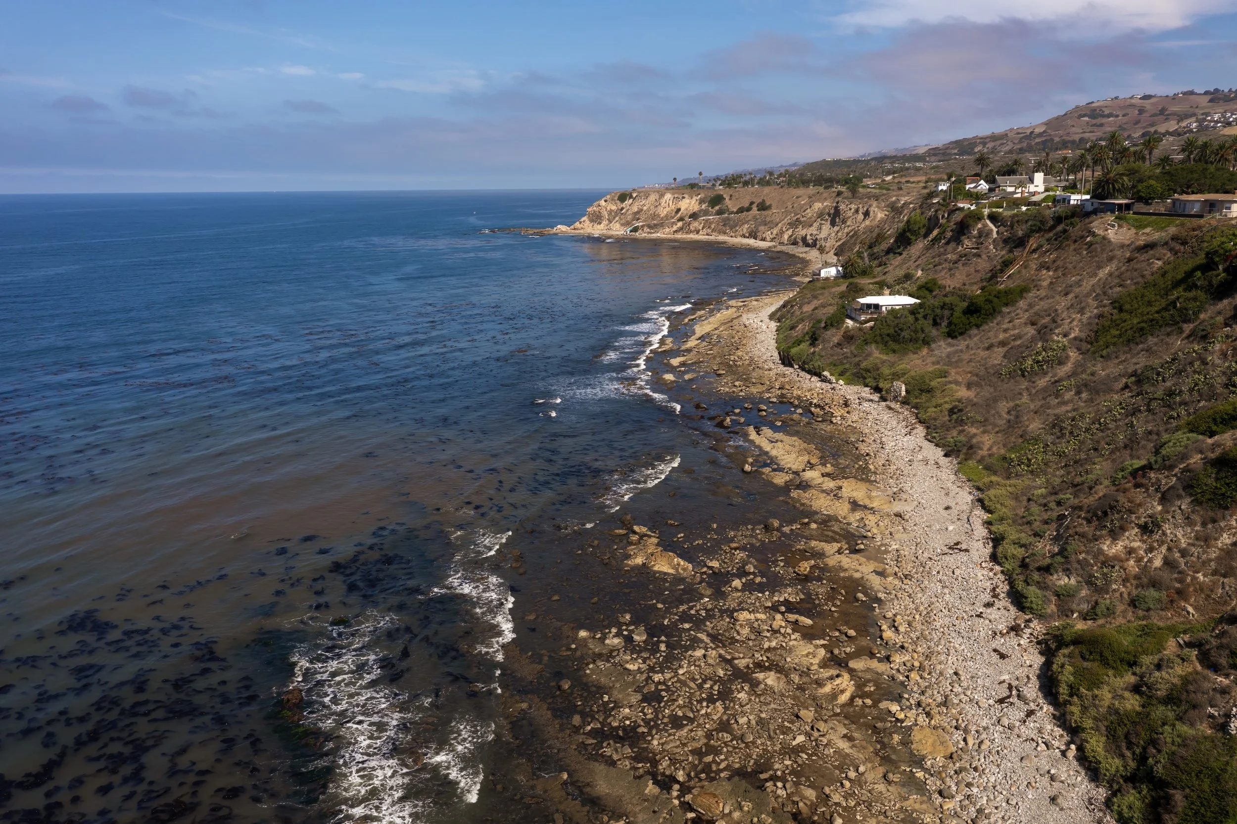 A coastal landscape with cliffs, houses, and palm trees overlooking the ocean on a partly cloudy day.