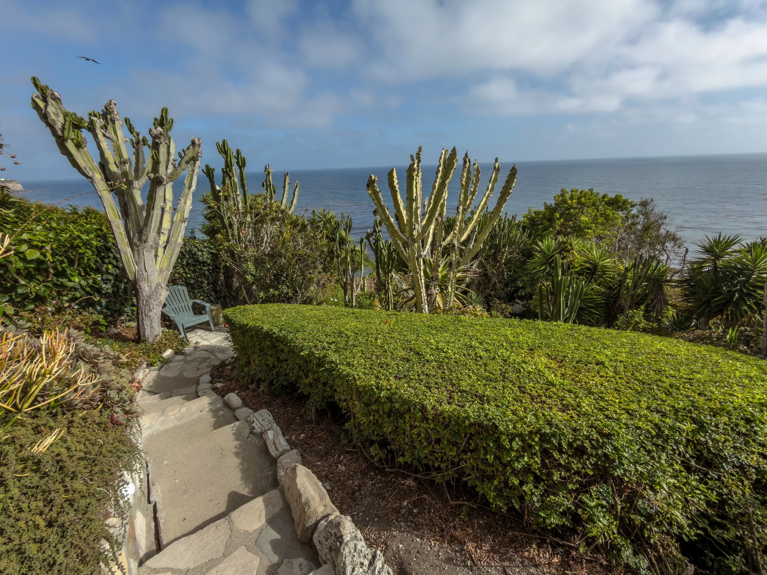 AN A..MAZING CACTUS GARDEN ON THE OCEAN