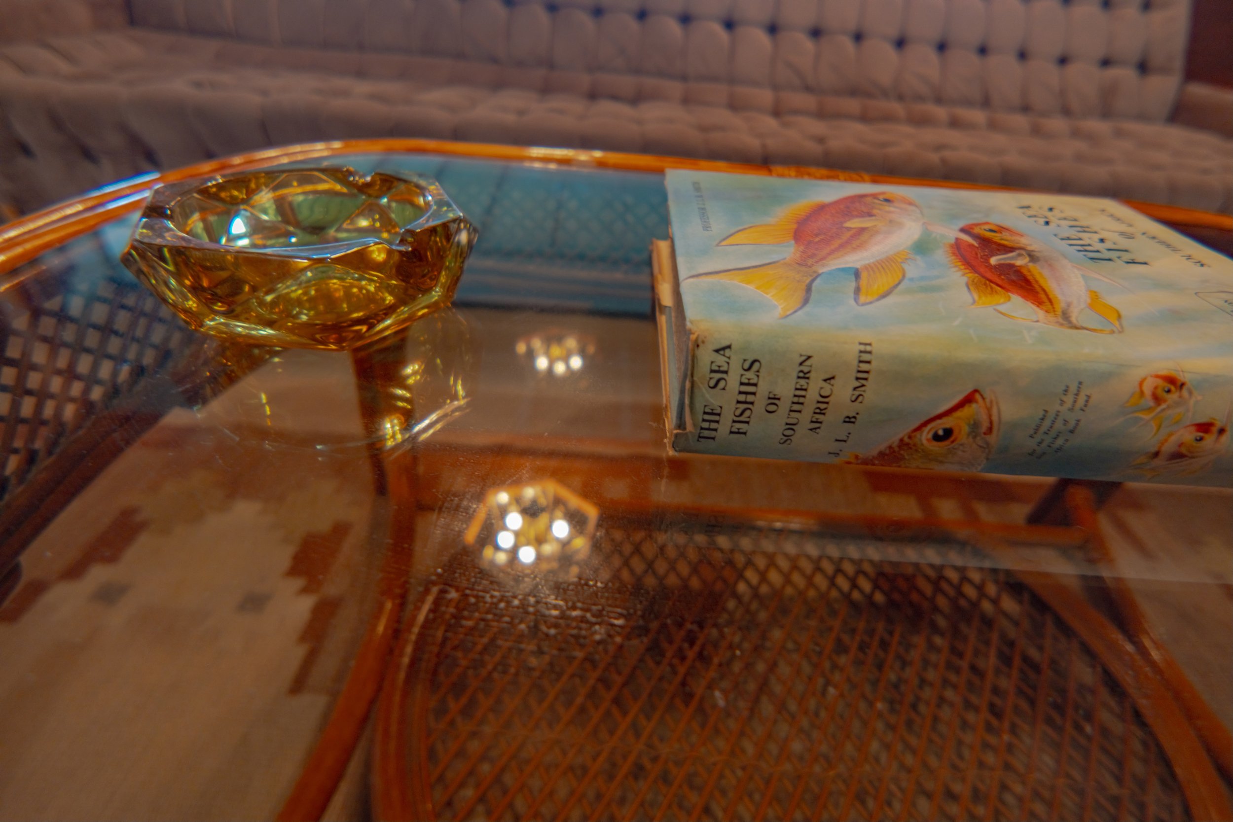 DSCF2851.jpg