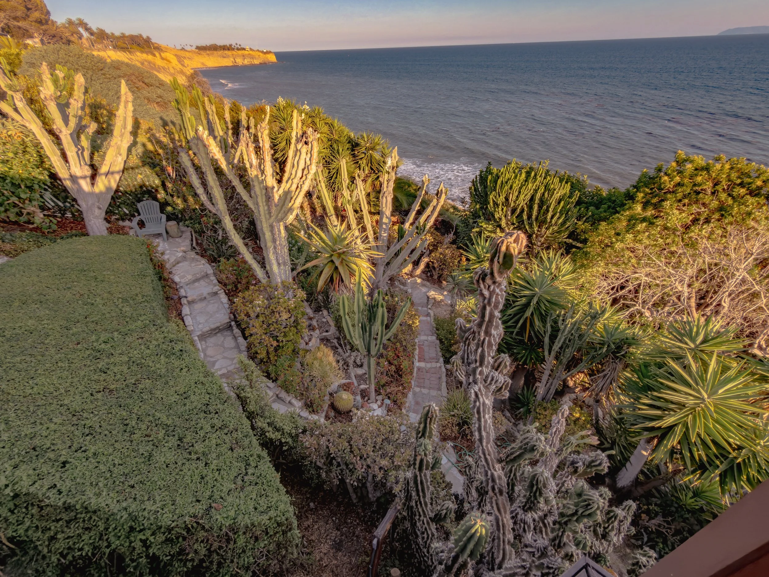 Coastal garden with cacti and succulents overlooking the ocean, cliffs in the background, and a small pathway with a white chair.