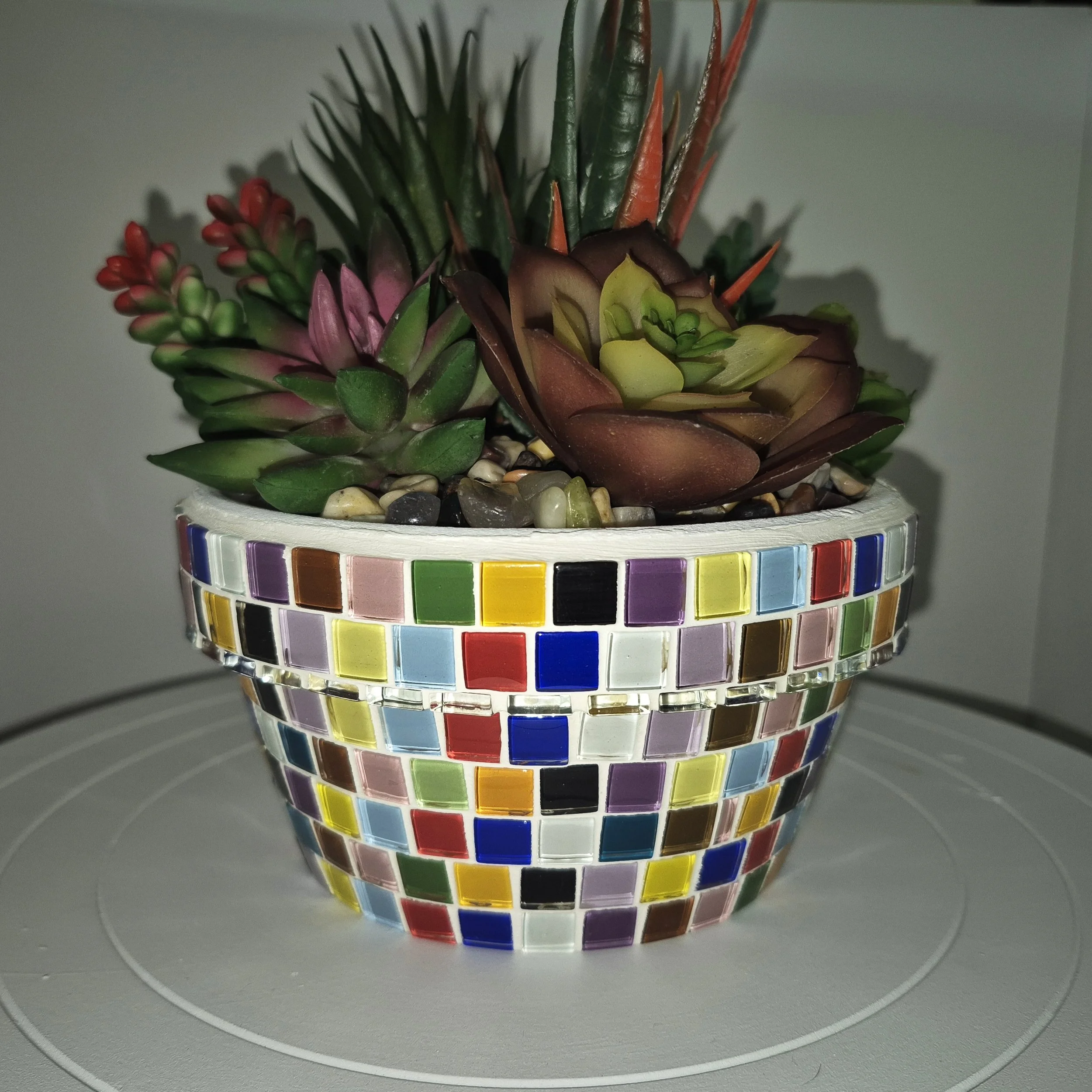 20260827_114823.jpeg