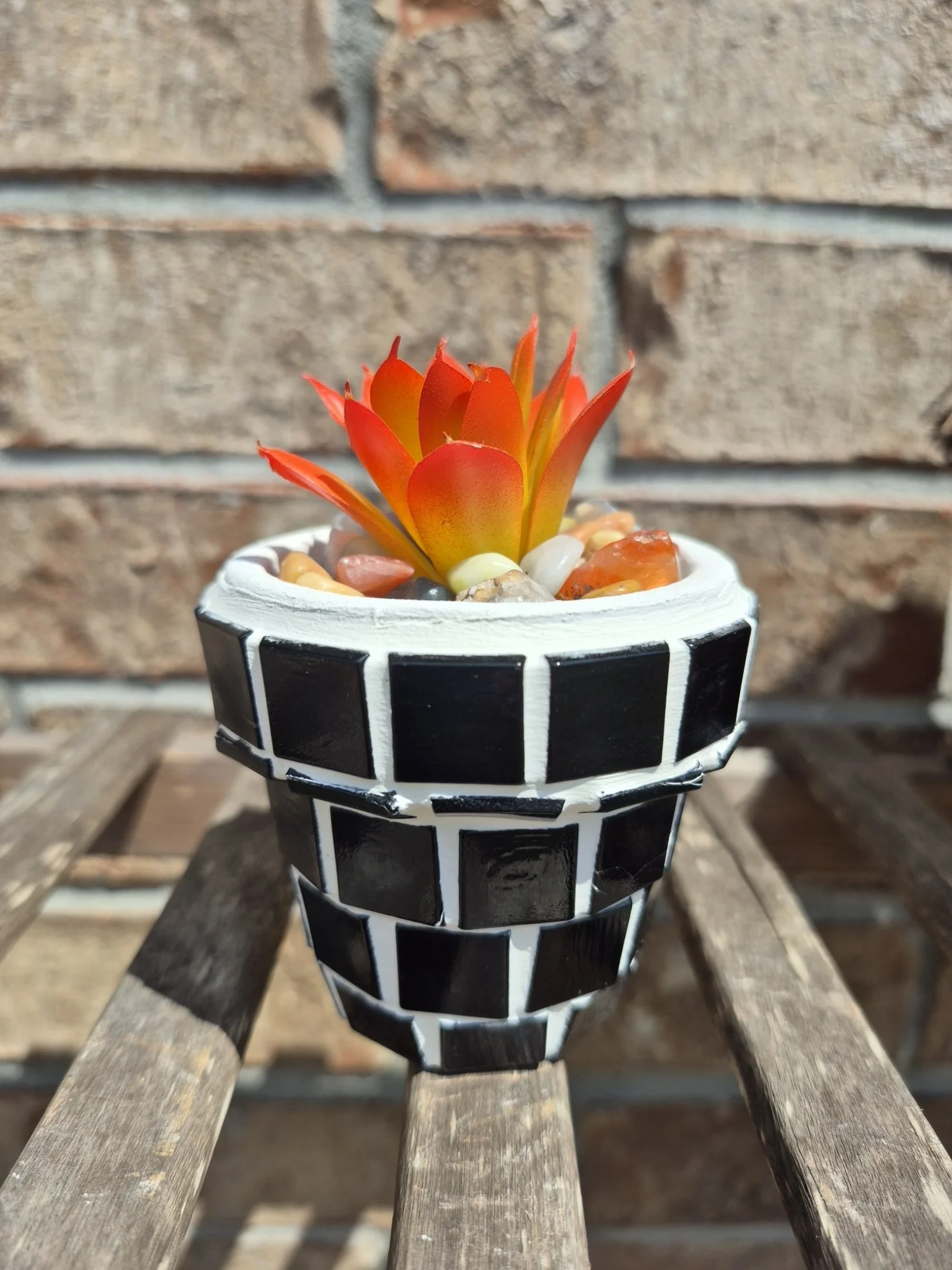 Little Domino Planter (X-Small)