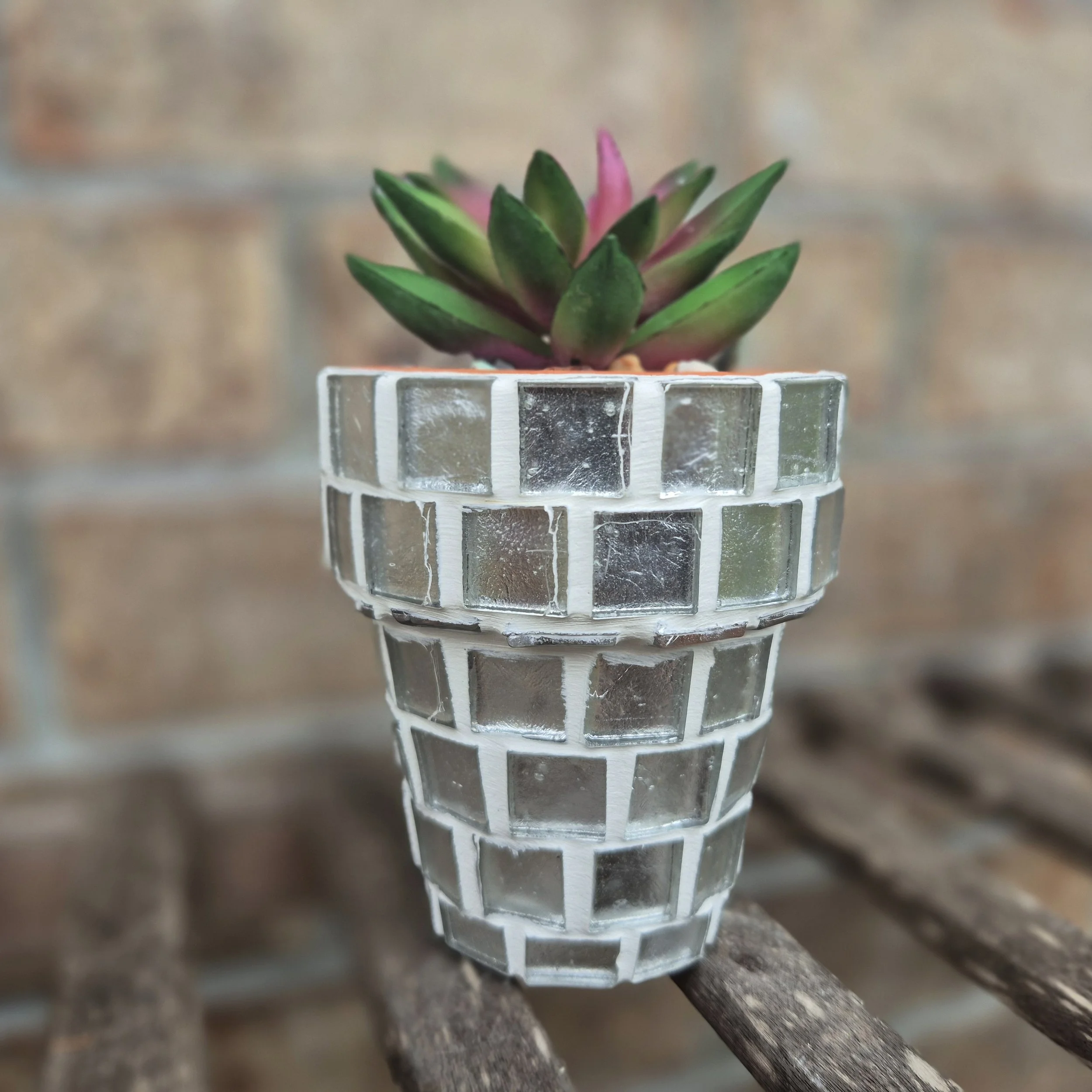 Silver Foil Planter (Small)