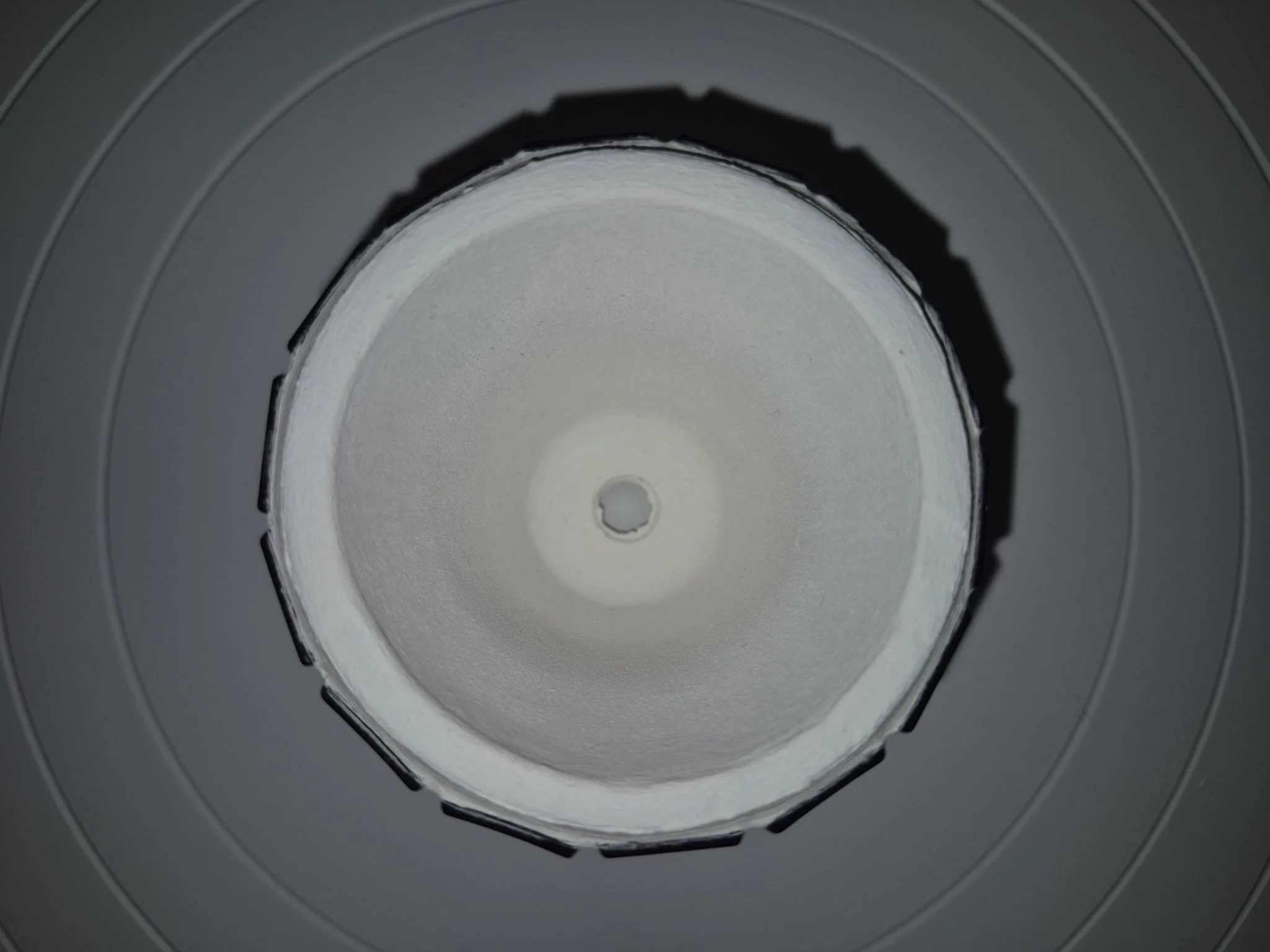 Tiny Black6.jpg